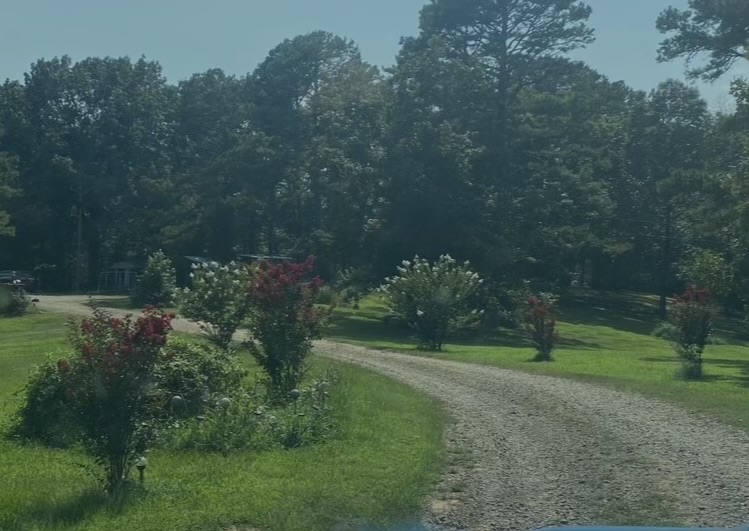 Clarksville, Arkansas, 72830, United States, 7 Bedrooms Bedrooms, ,3 BathroomsBathrooms,Residential,For Sale,2005713