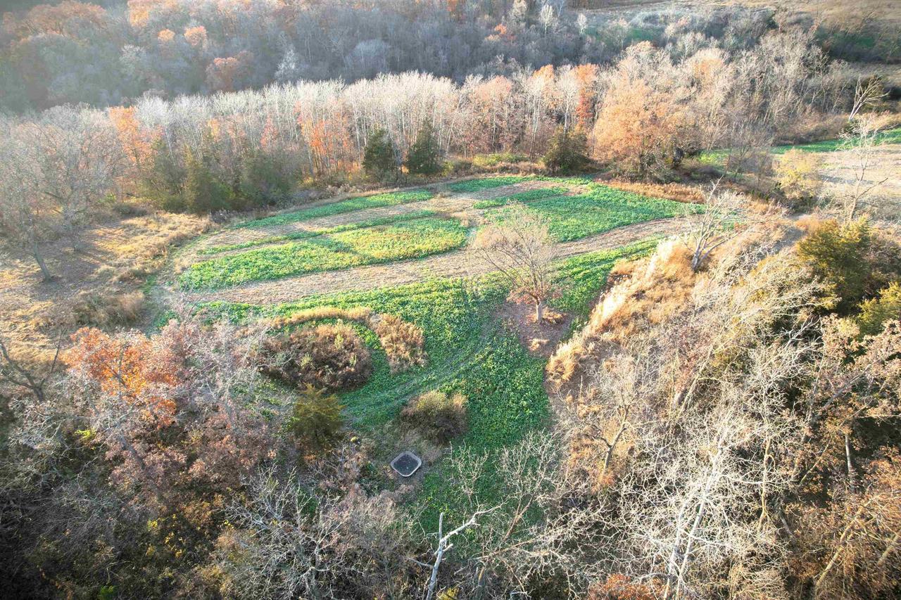 Muscoda, Wisconsin, 53573, United States, 3 Bedrooms Bedrooms, ,3 BathroomsBathrooms,Residential,For Sale,1990387