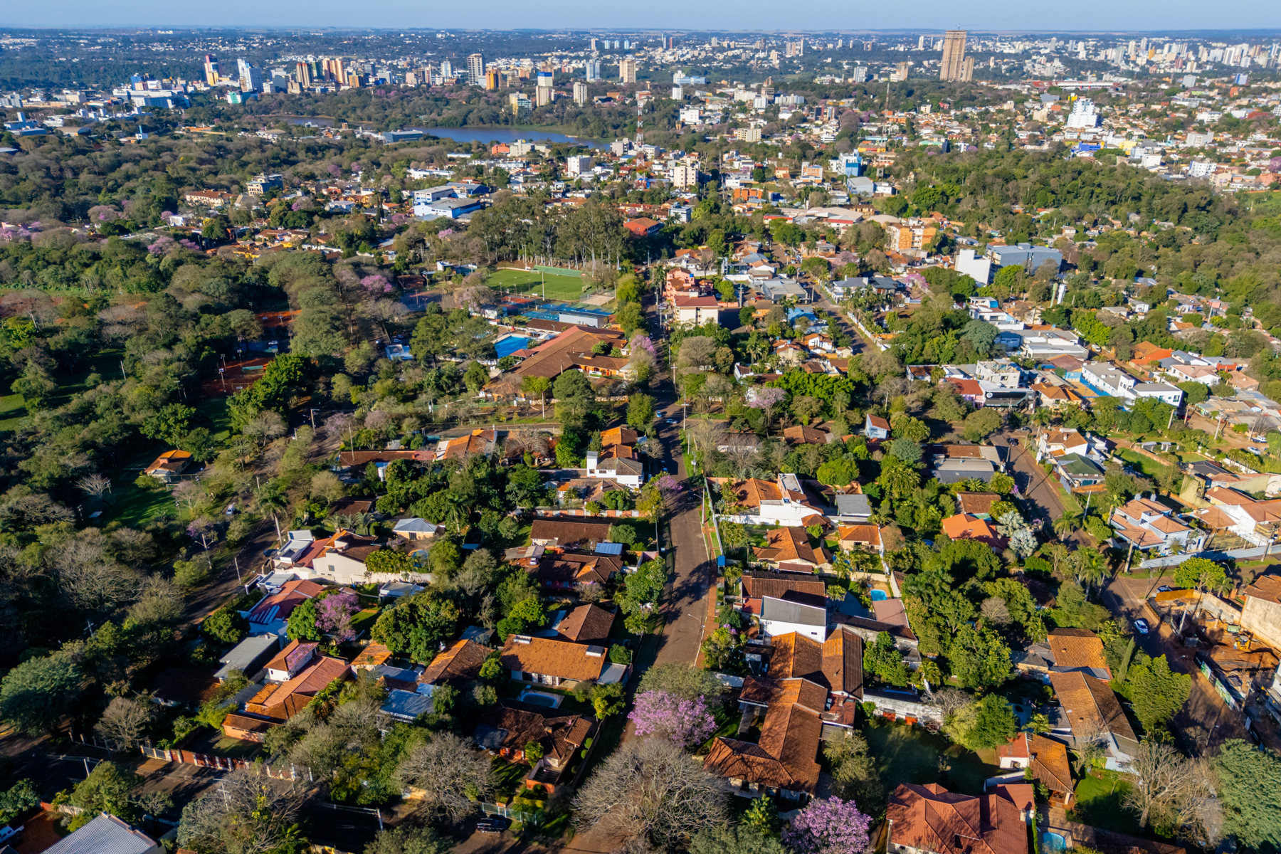  Exclusive Large-Scale Lot in Área 1, Ciudad del Este - 物件實景