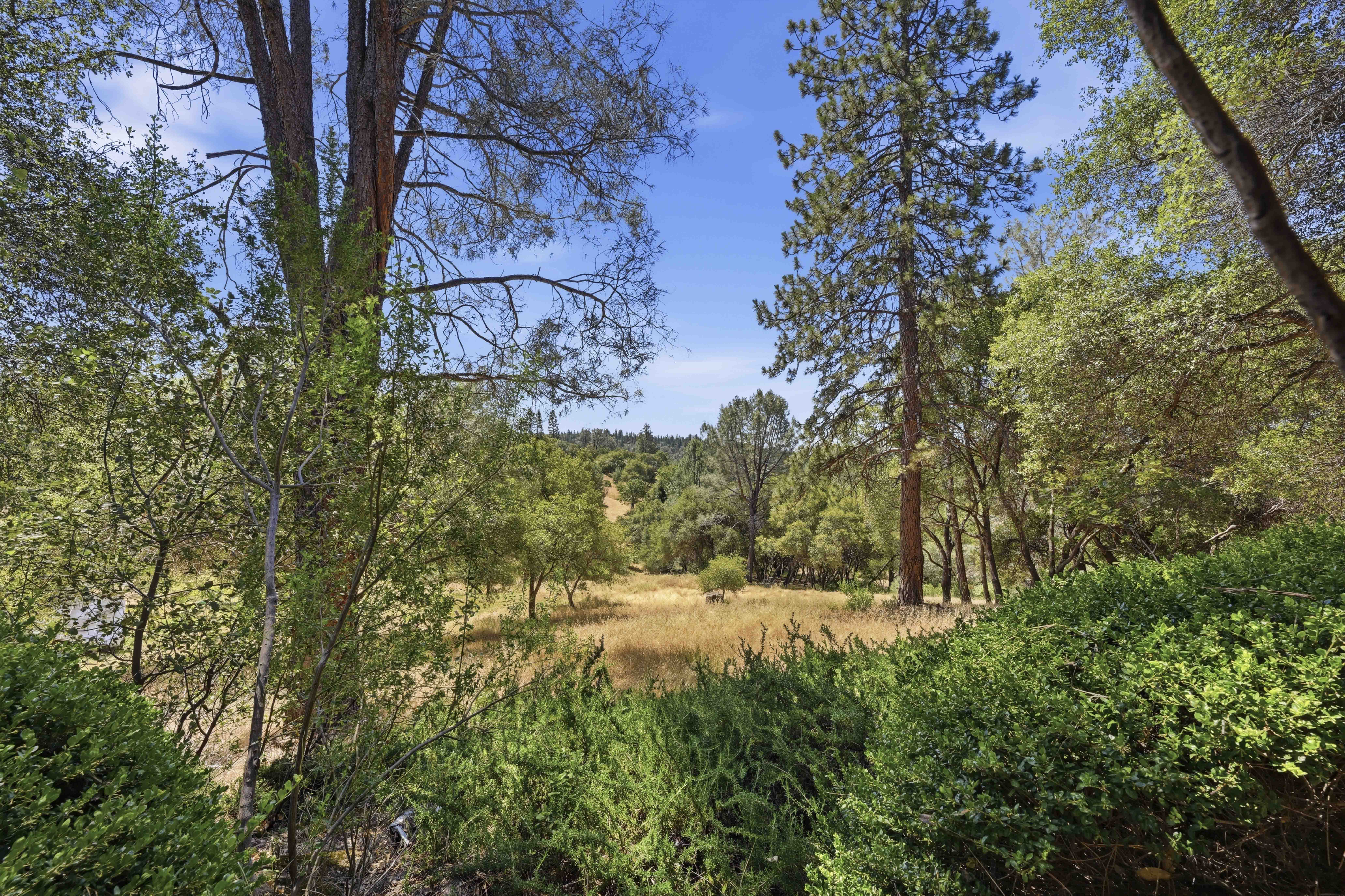  1109 Holly Leaf Lane, Meadow Vista, CA 95722 - 物件實景