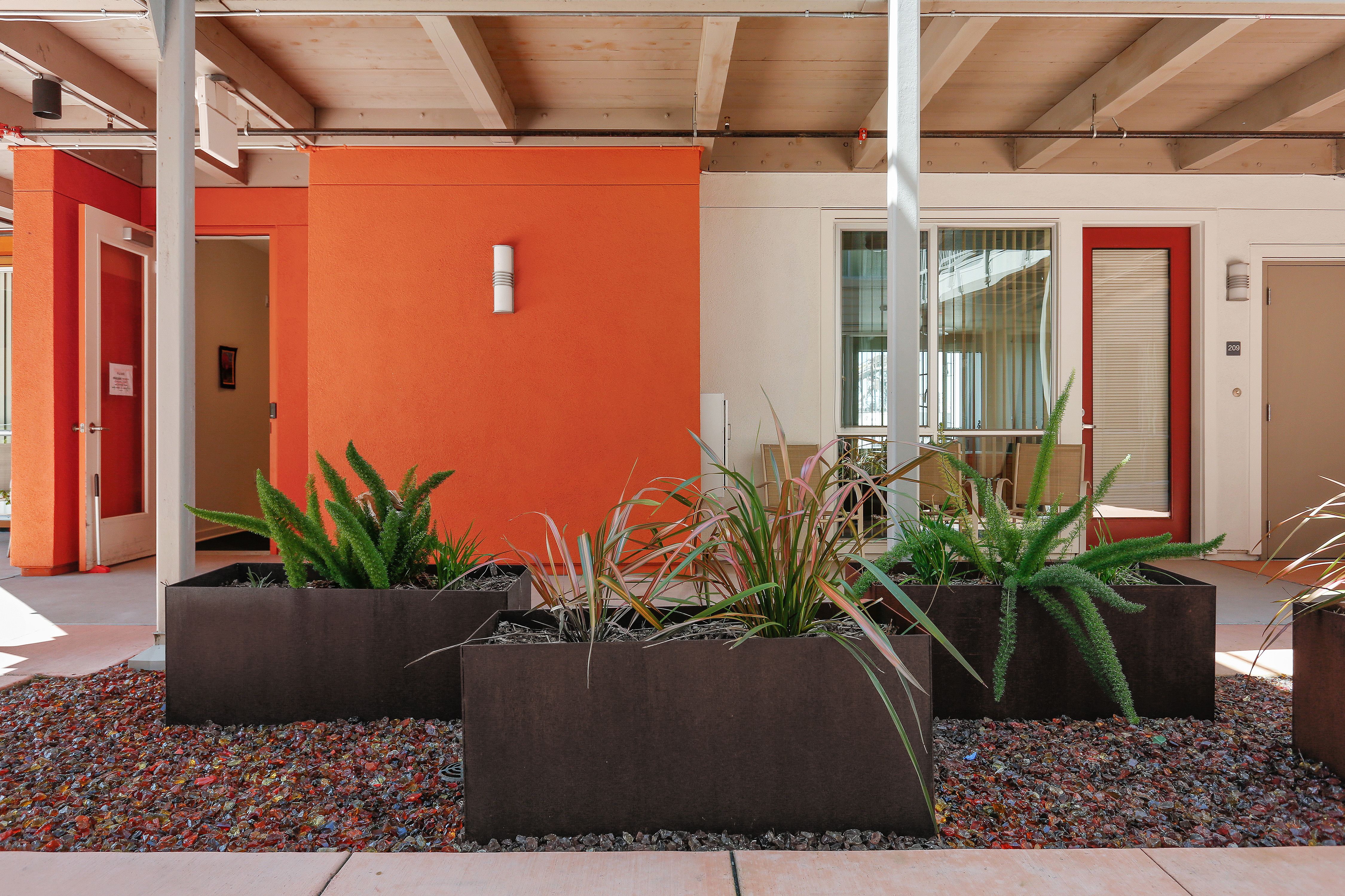  Modern Estuary Living in Oakland’s Premier 55+ Cohousing Community - 物件實景