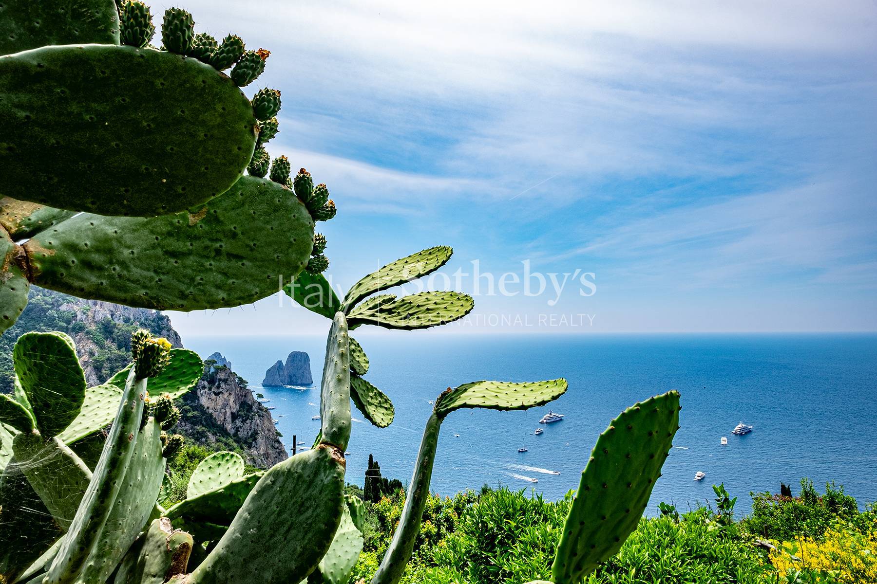  Charming villa in Capri - 物件實景