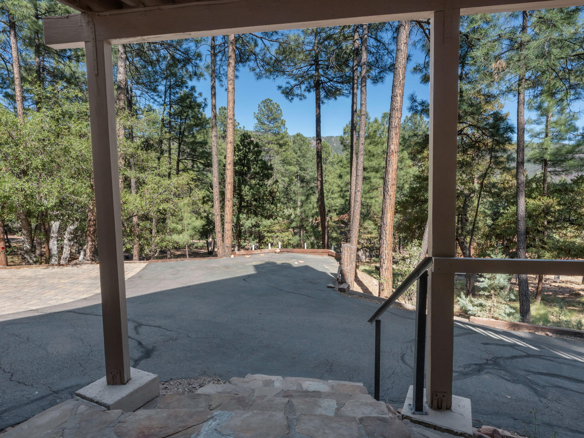 Pine, Arizona, 85544, United States, 3 Bedrooms Bedrooms, ,2 BathroomsBathrooms,Residential,For Sale,1828056