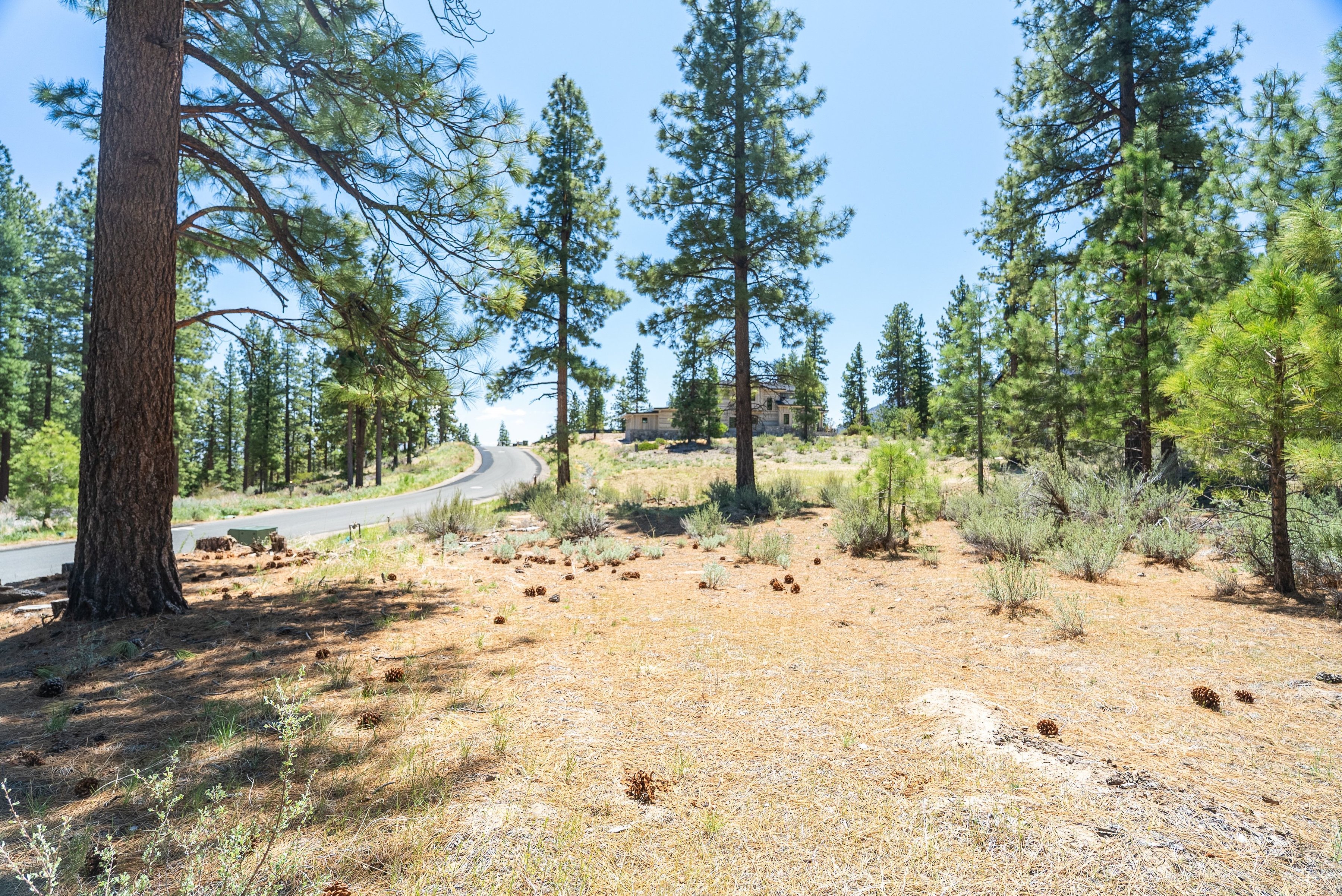  Two Extraordinary Pieces of Land in Clear Creek Tahoe - 物件實景