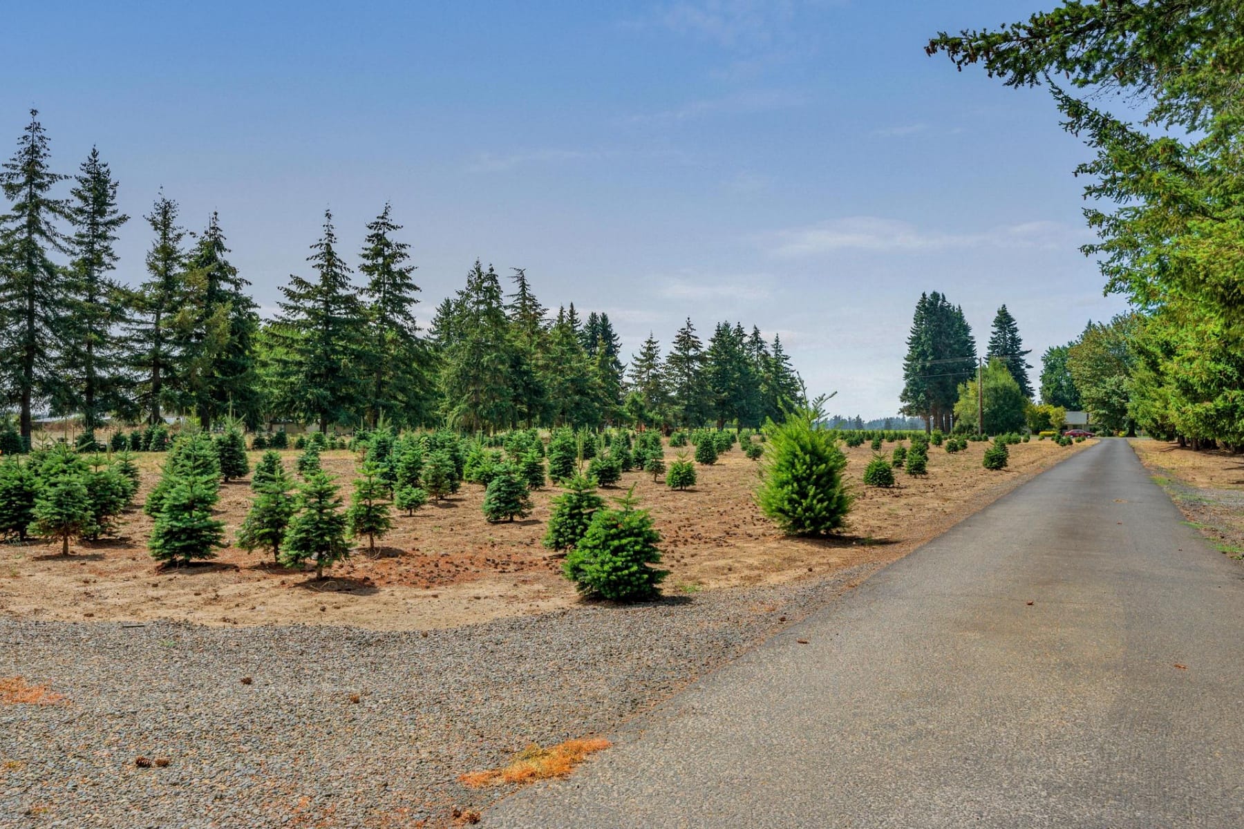  27200 S BARLOW RD Canby, OR 97013 - 物件實景