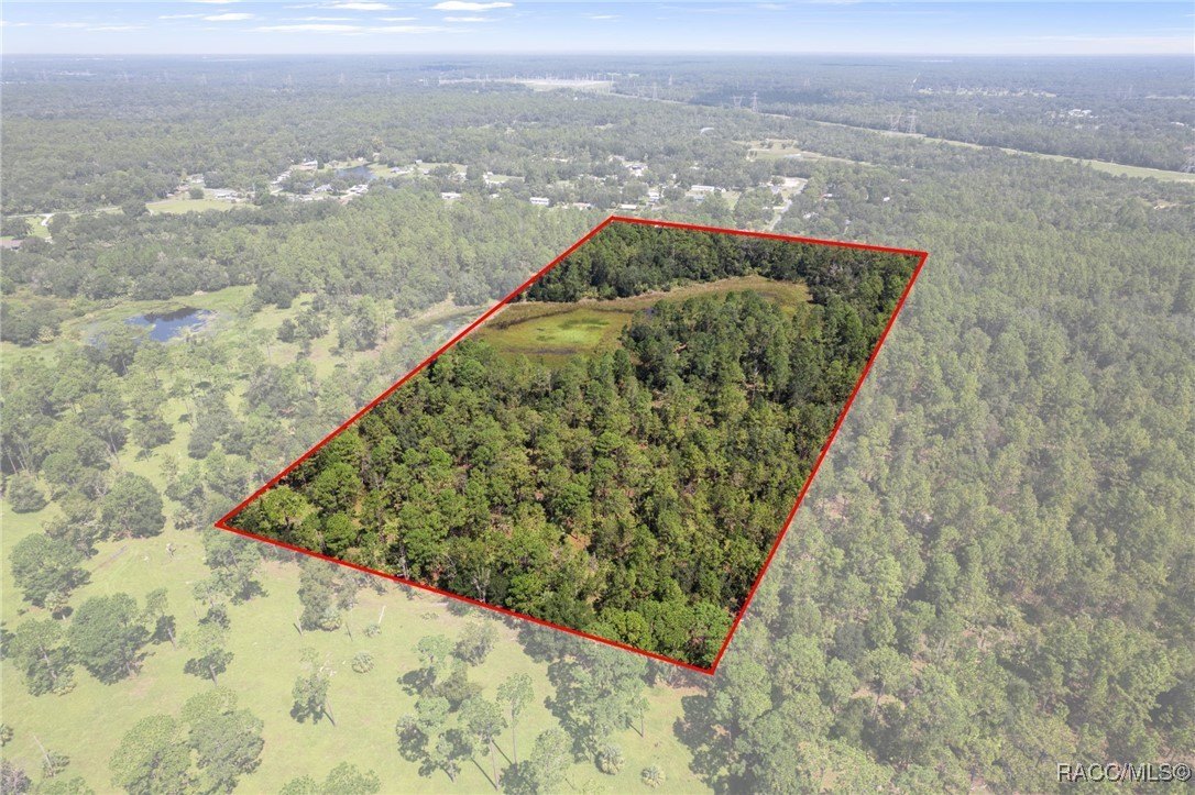Crystal River, Florida, 34428, United States, ,Land,For Sale,1977814
