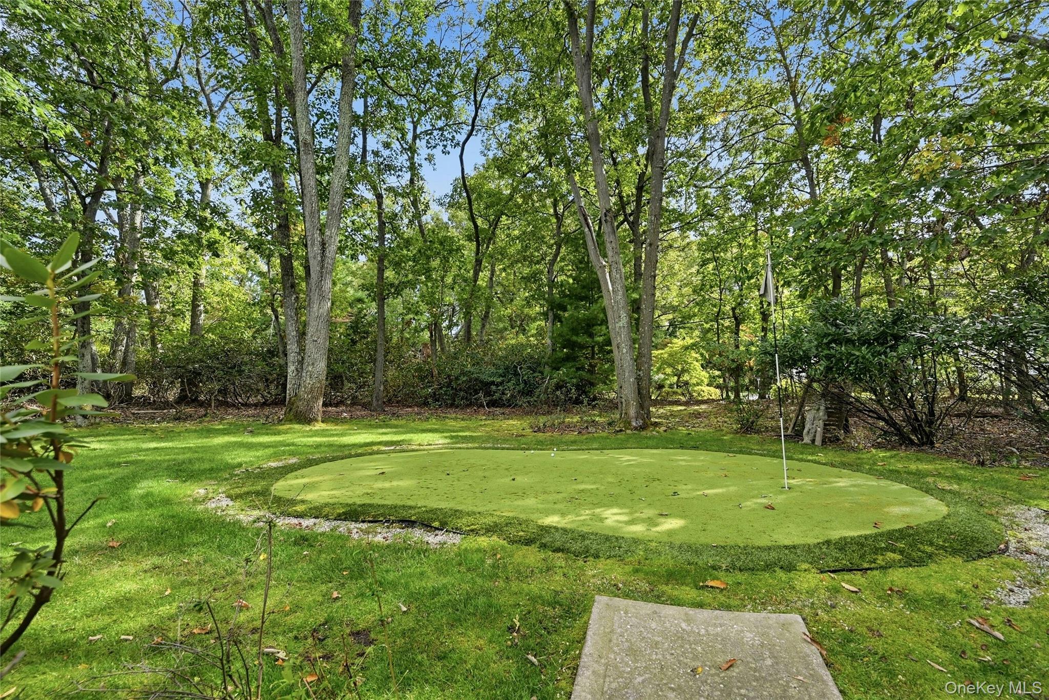 52 W Meadow Road, Setauket, NY, 11733 - 物件實景