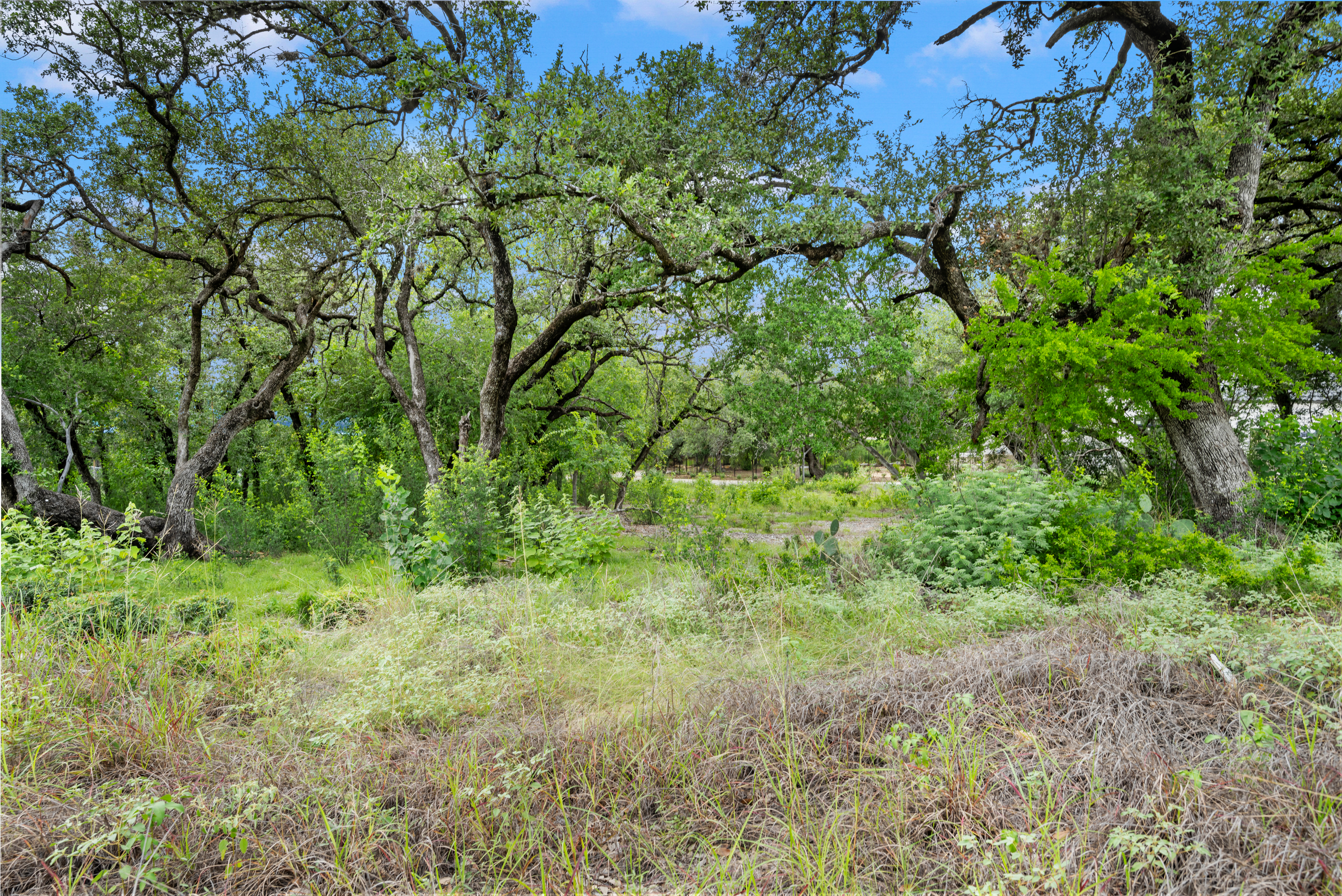  Luxury Corner Lot in Guard-Gated Inverness - 物件實景