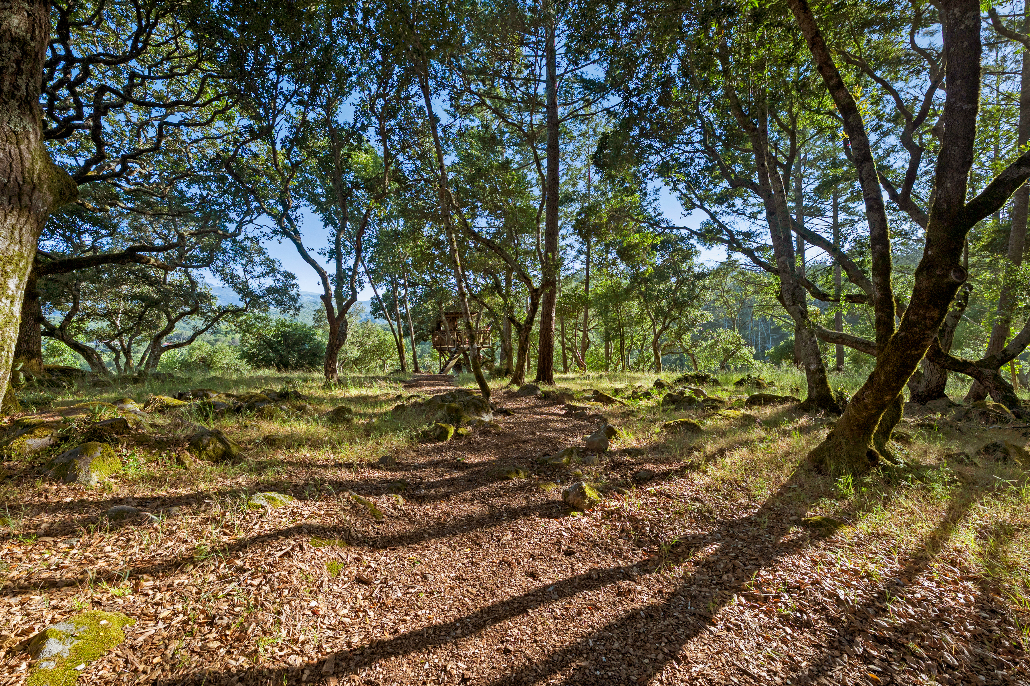  4296 Savannah Trail - 物件實景