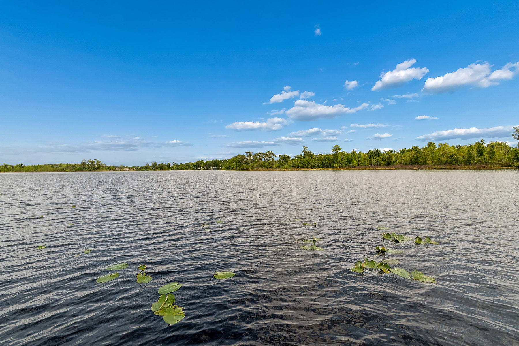  ORLANDO - 物件實景