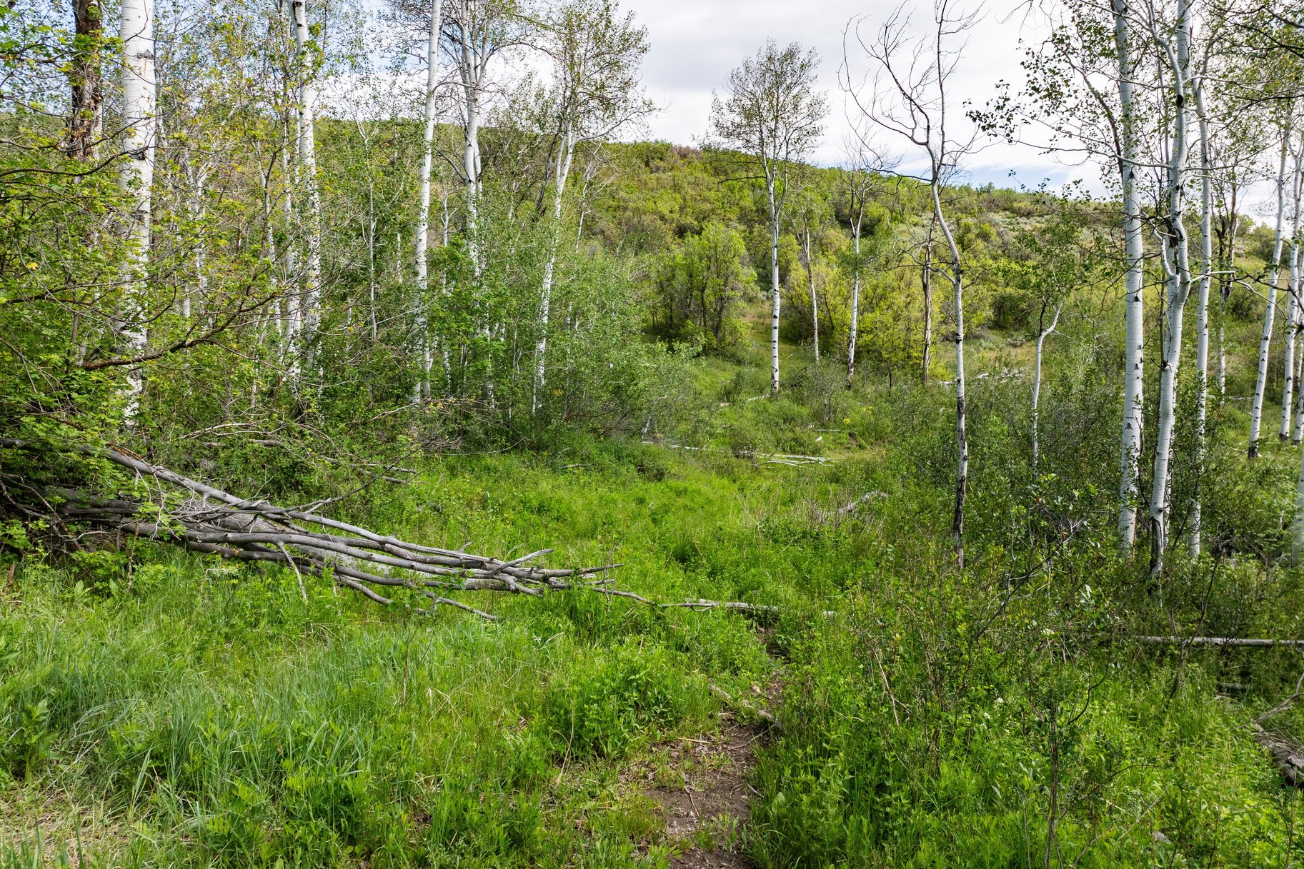  Rocky Point Preserve - 260+ Acre Preserve Just 20 Minutes to Park City - 物件實景
