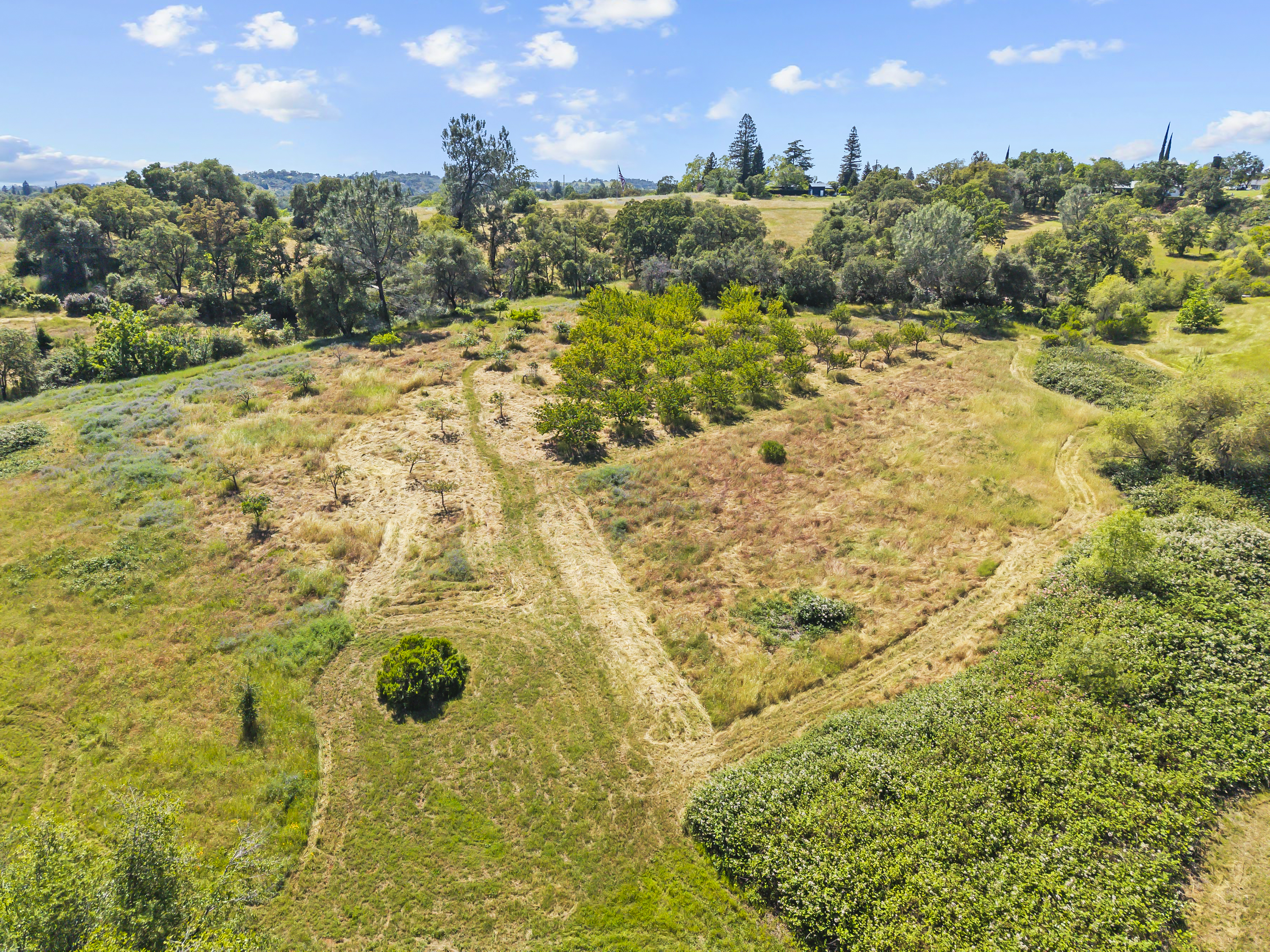  2105 Precision Place, Auburn, CA 95603 - 物件實景