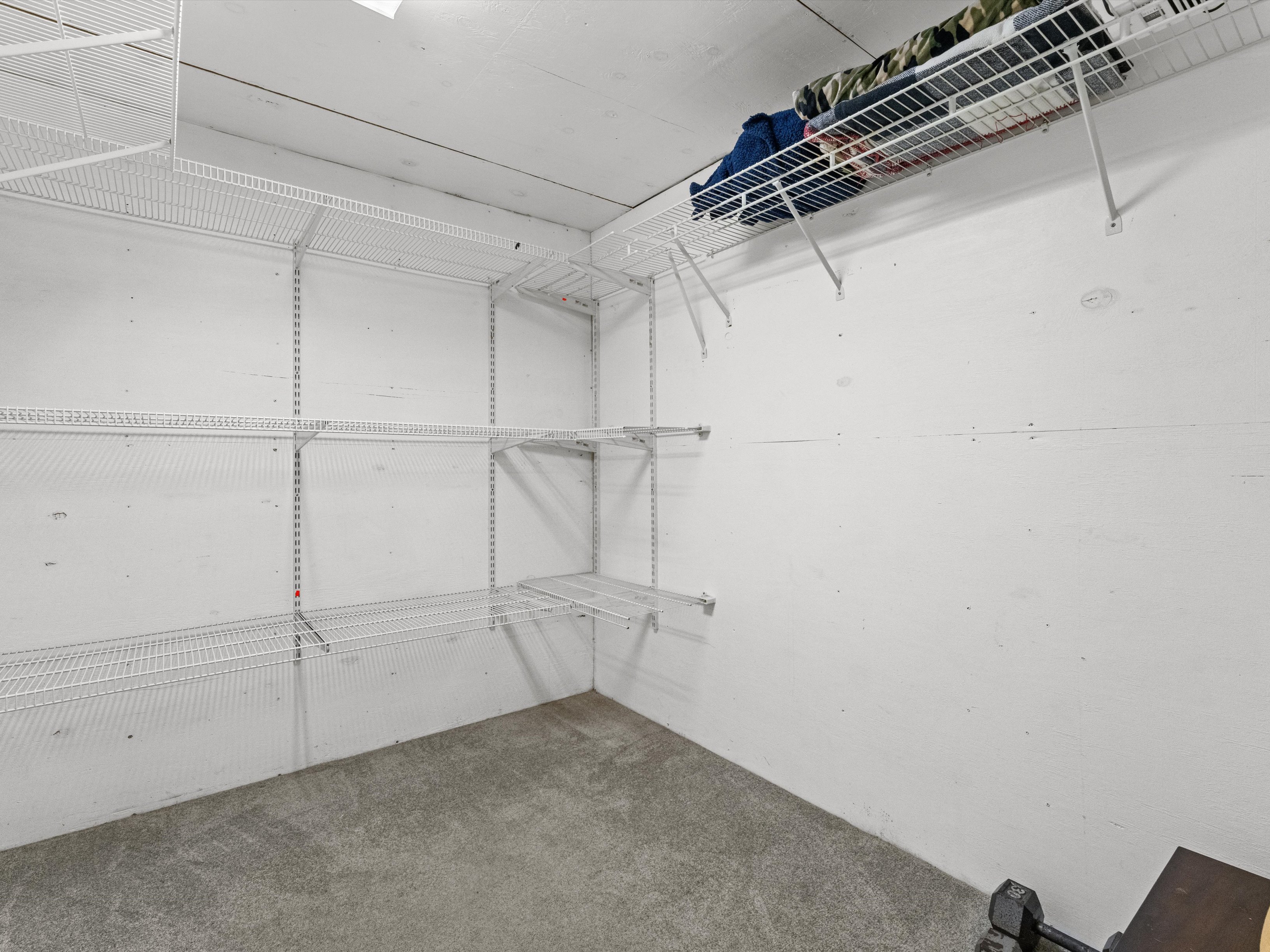  19 Cedar Road, Shrewsbury, MA 01545 - 物件實景
