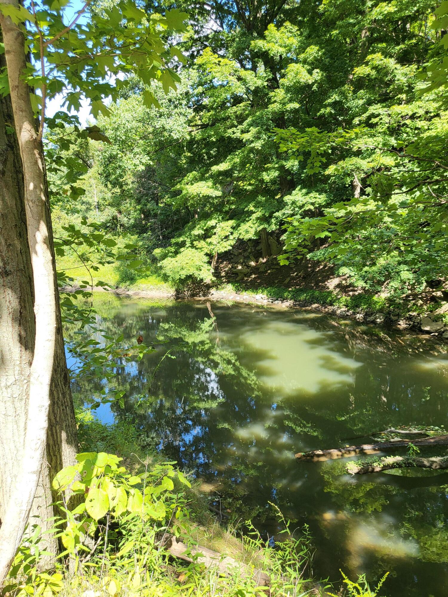 Union Pier, Michigan, 49129, United States, ,Land,For Sale,1988293