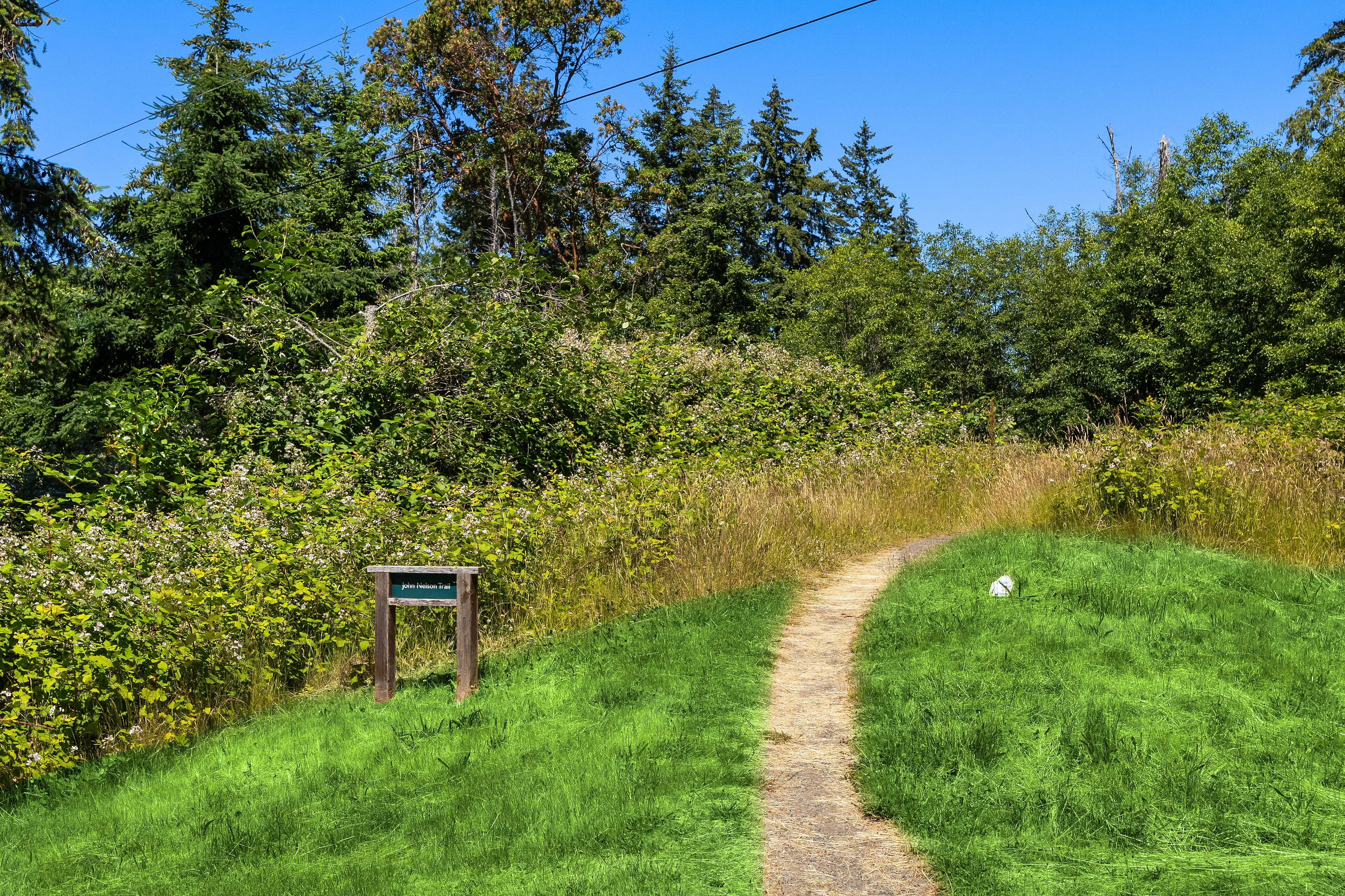  620 Northeast Vineyard Lane B-203, Bainbridge Island, WA 98110 - 物件實景