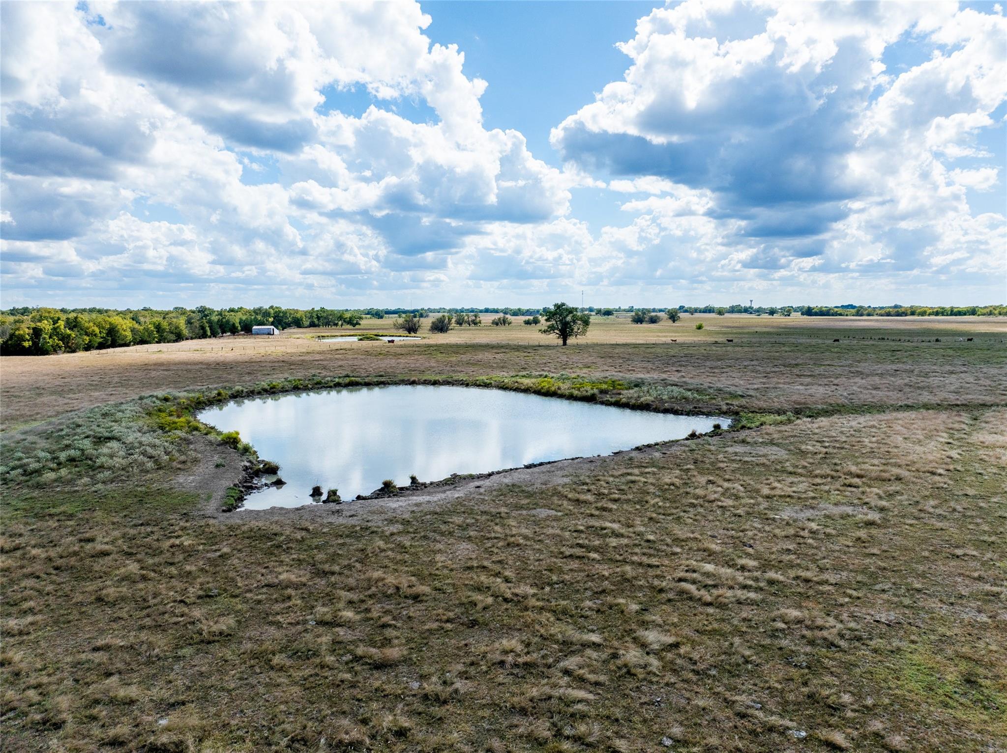 Blossom, Texas, 75416, United States, ,Residential,For Sale,1977937