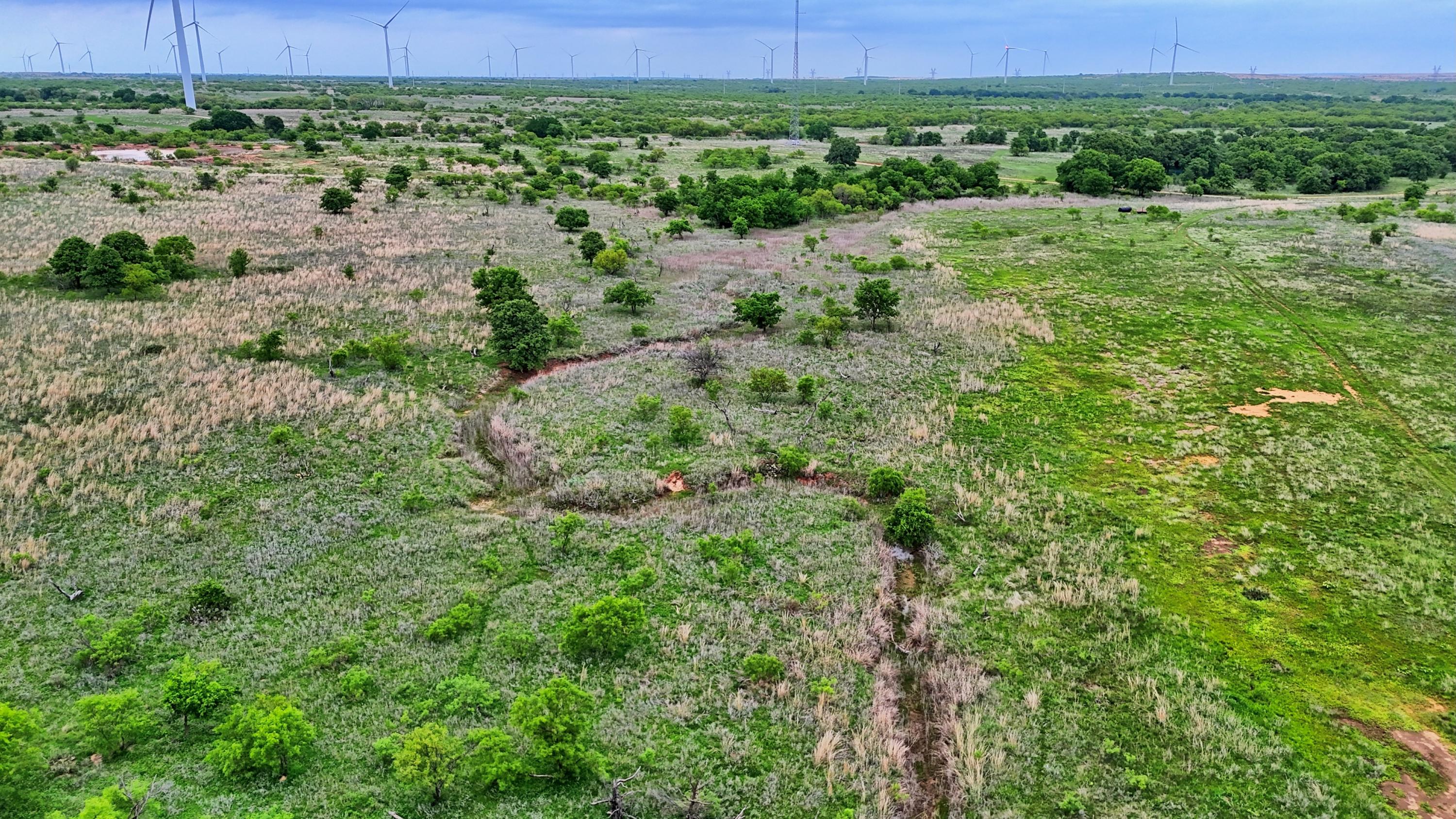  95 Acres in Clay County - 物件實景