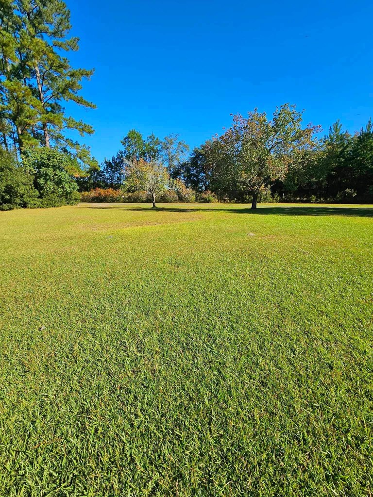 5278 NE Elim Church Road Ne Road, Ludowici, Georgia, 31316, United States, 3 Bedrooms Bedrooms, ,2 BathroomsBathrooms,Residential,For Sale,5278 NE Elim Church Road Ne Road,1437237