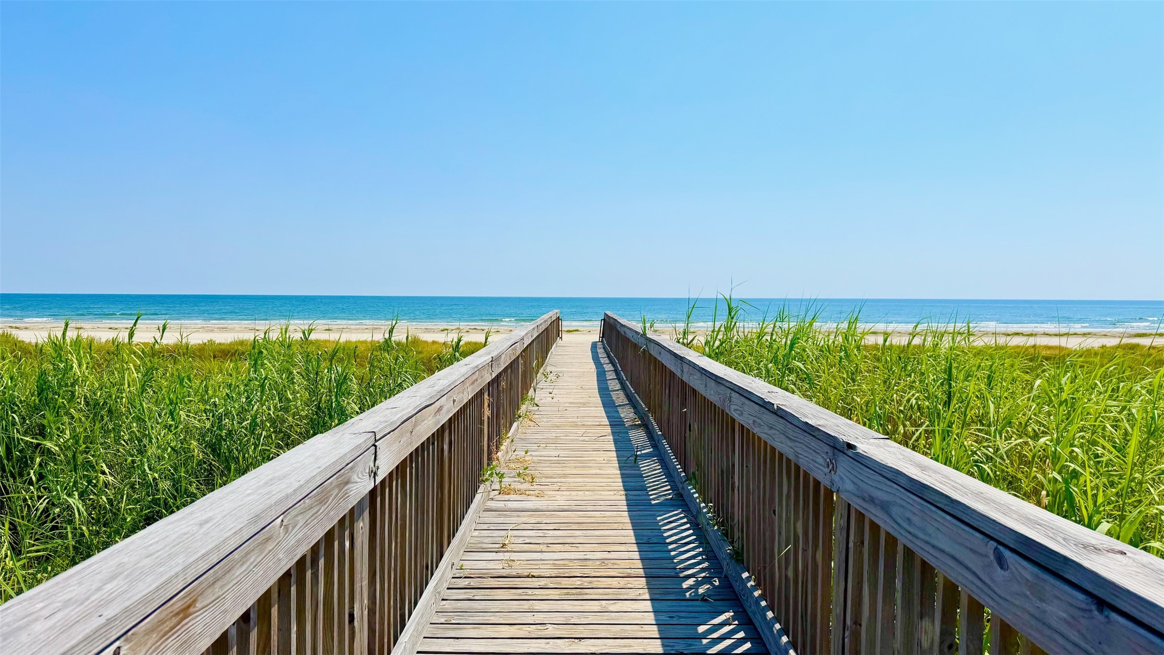  25919 Glossy Ibis Way - 物件實景