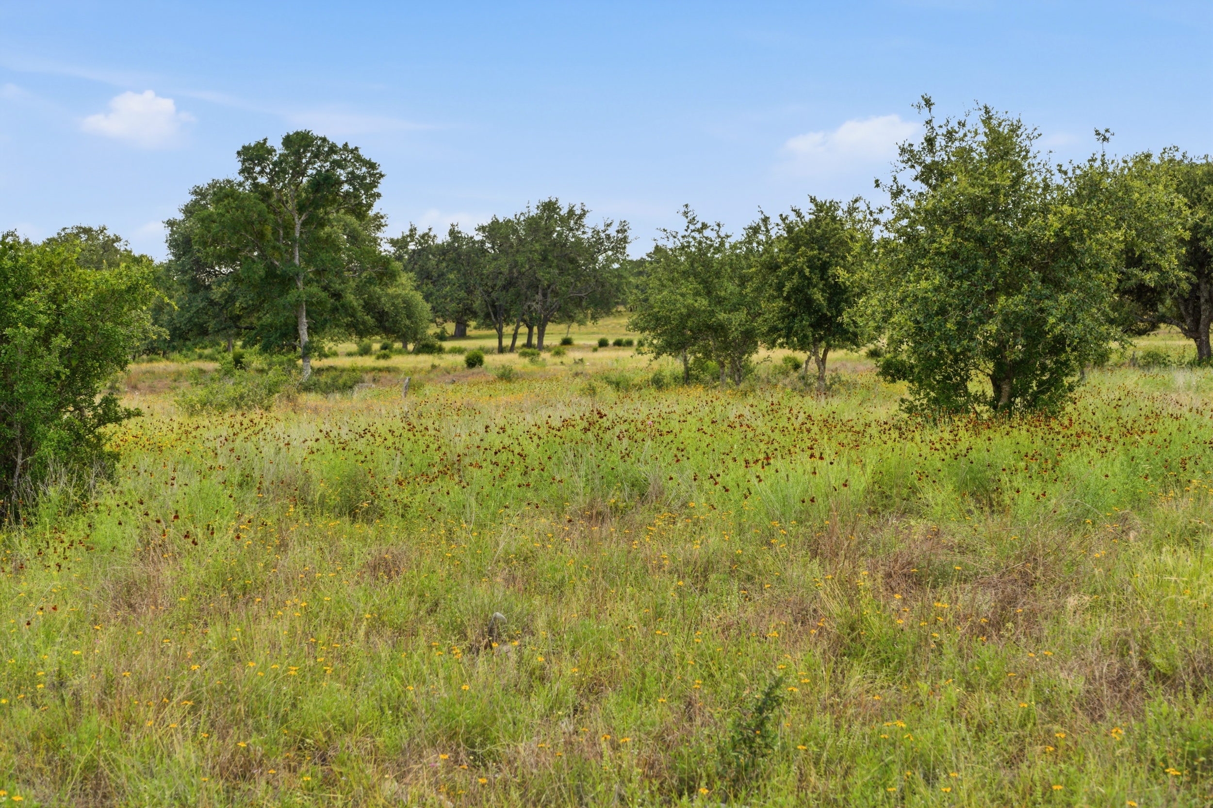  Rolling Oaks Ranch: The Pinnacle of Private Estate Living - 物件實景