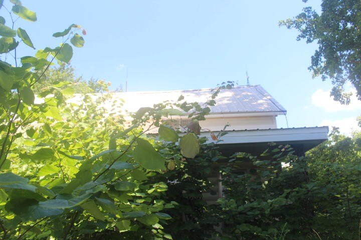 Polk, Missouri, 65727, United States, ,Land,For Sale,1980569