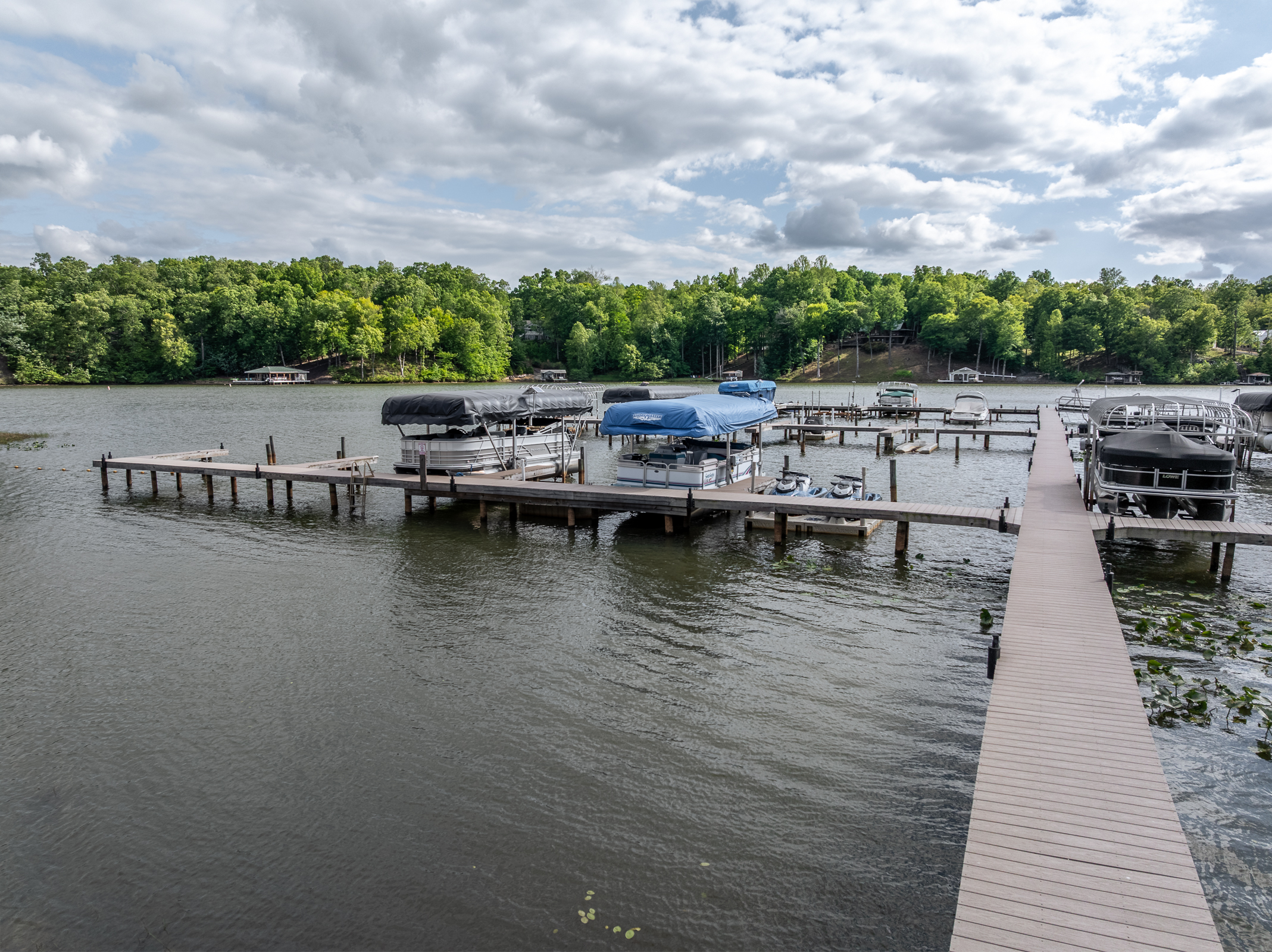  381 Shorewood Drive, Louisa, VA 23117 - 物件實景