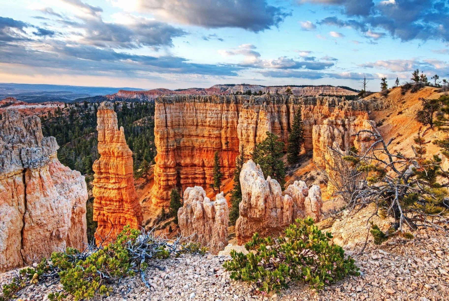  Breathtaking VieW On The Ridge At Coral Canyon - 物件實景