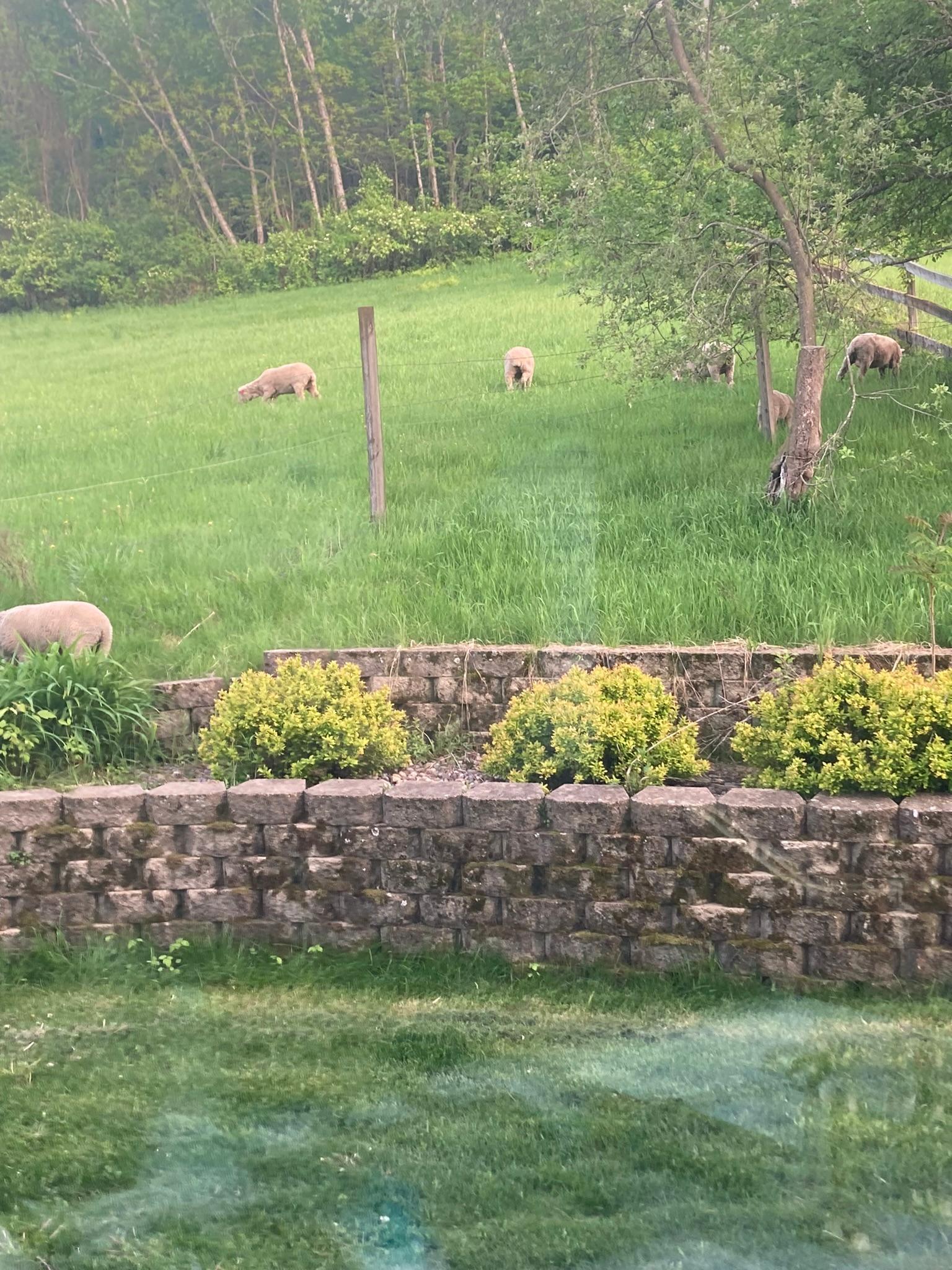 Winona, Minnesota, 55987, United States, 5 Bedrooms Bedrooms, ,2 BathroomsBathrooms,Residential,For Sale,2005788