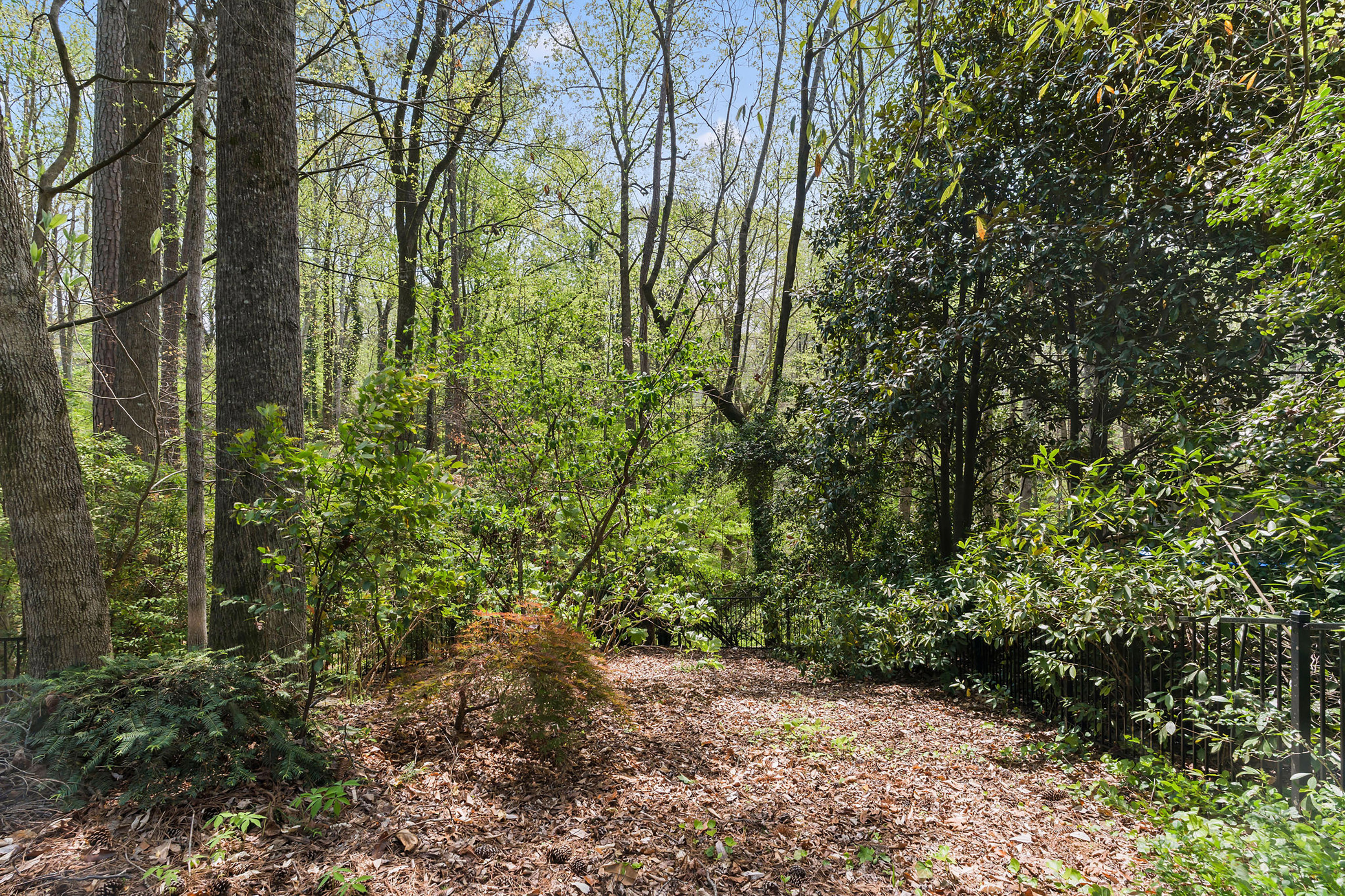  Roswell Home Blends Charm, Privacy and Location - 物件實景