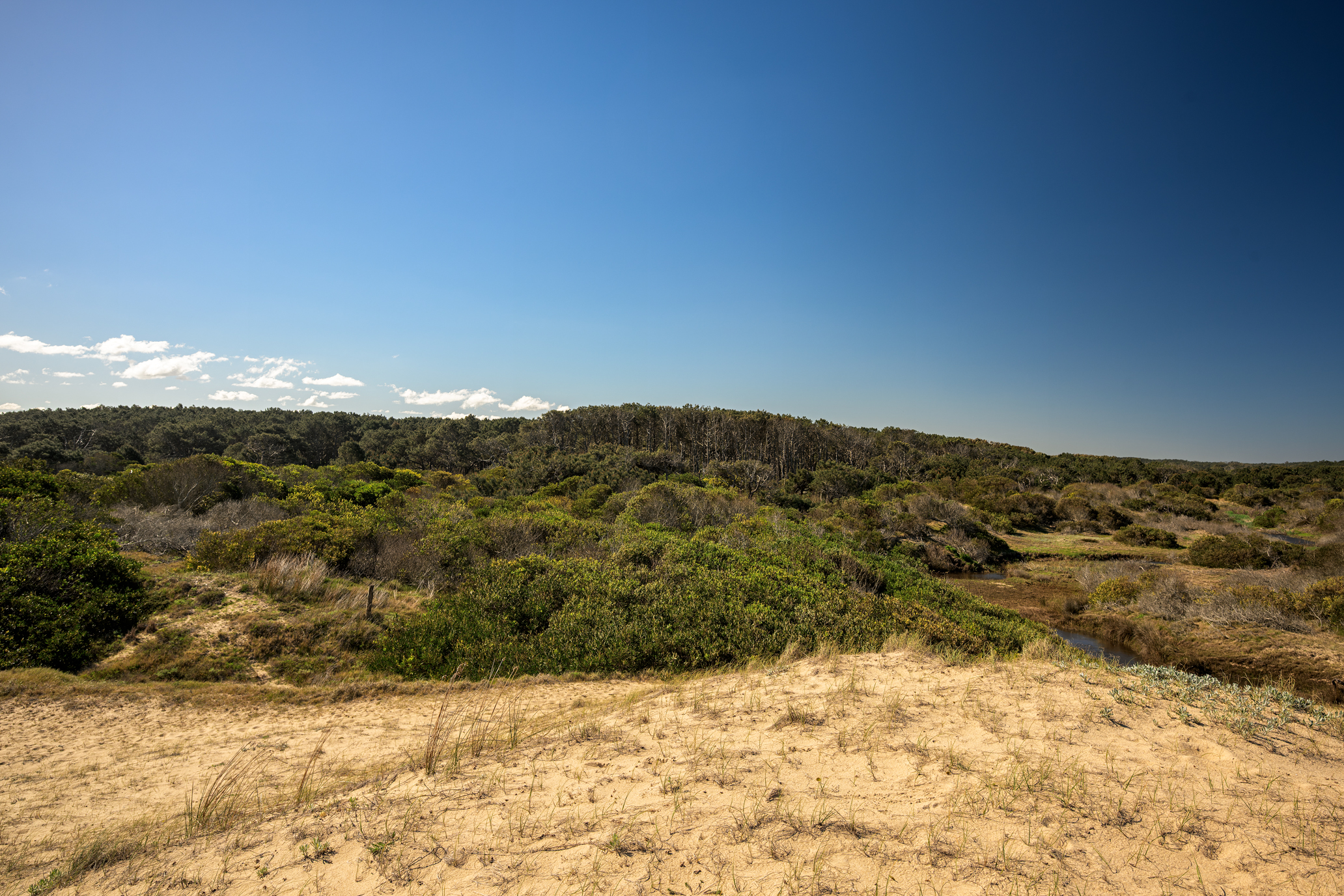 La Virazón  597-Hectare Oceanfront Estate in Rocha, Uruguay - 物件實景