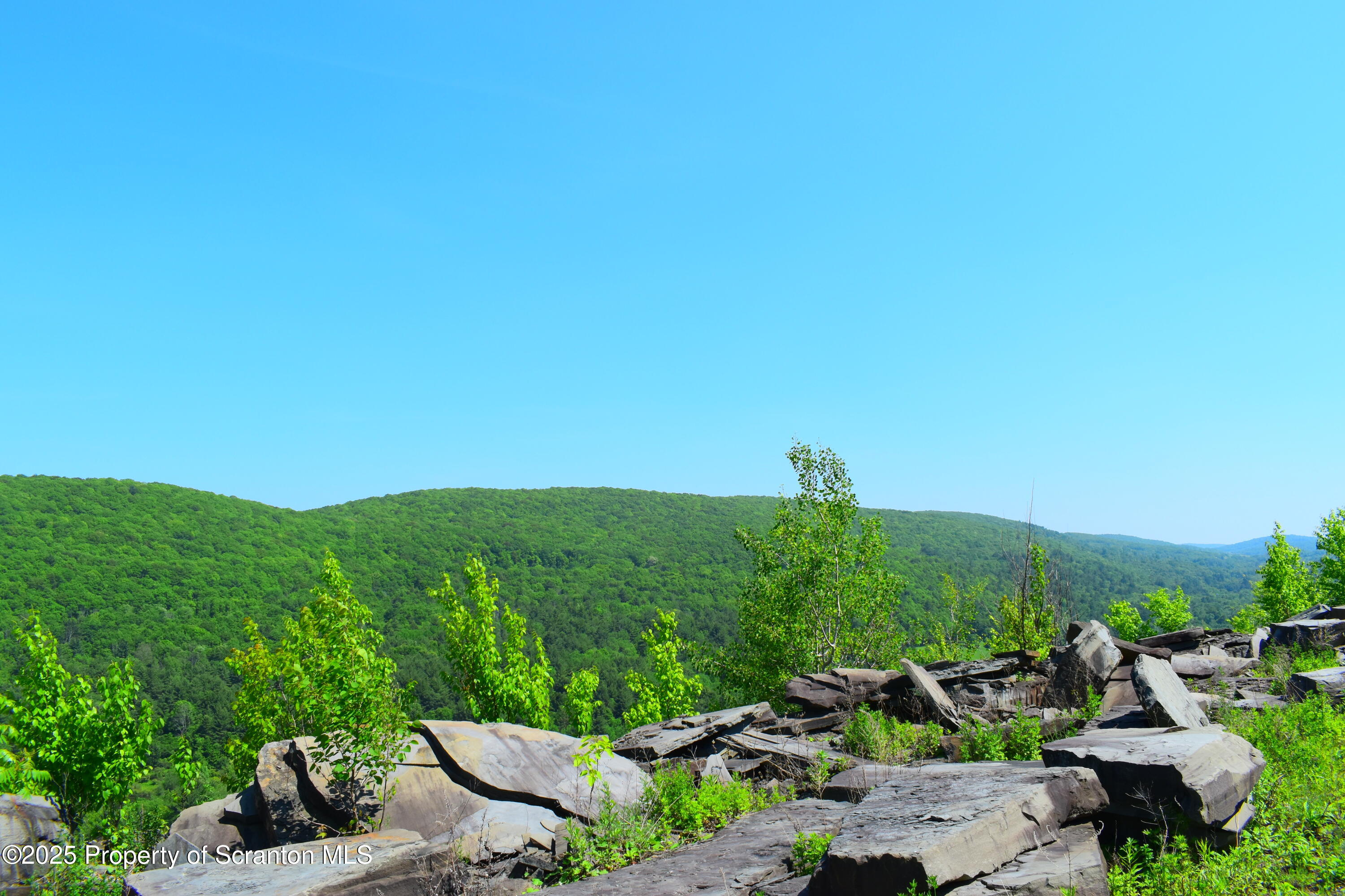 State Route 92, Susquehanna, Pennsylvania, 18847, United States, ,Land,For Sale,State Route 92,1665959