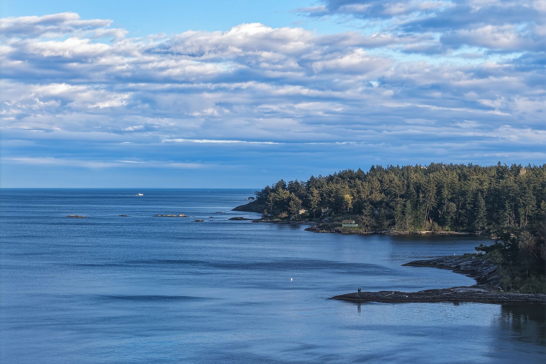  West Coast Oceanfront Home - 物件實景