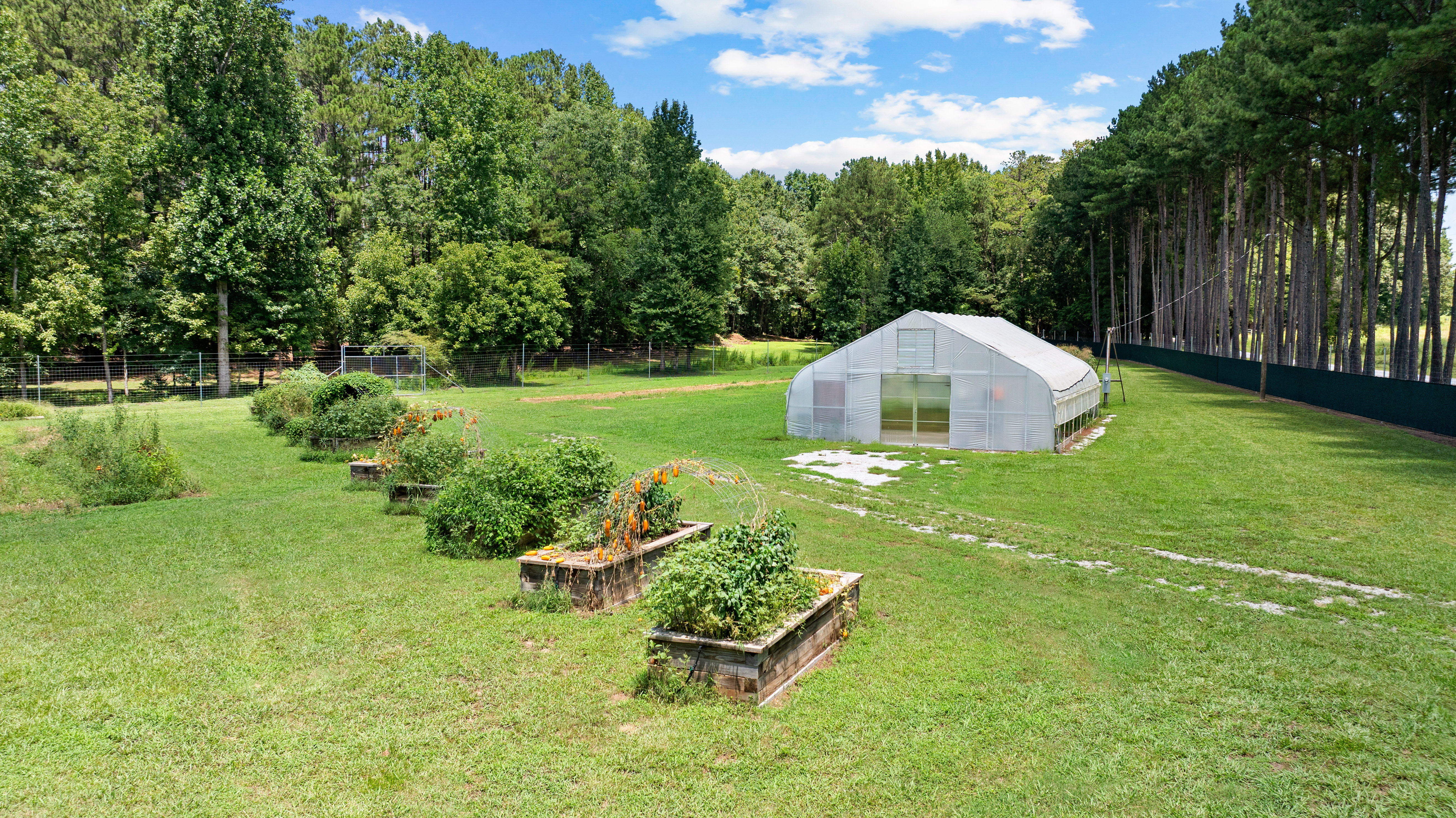 52 +/- Acres of Working Land and Quiet Woods - 物件實景