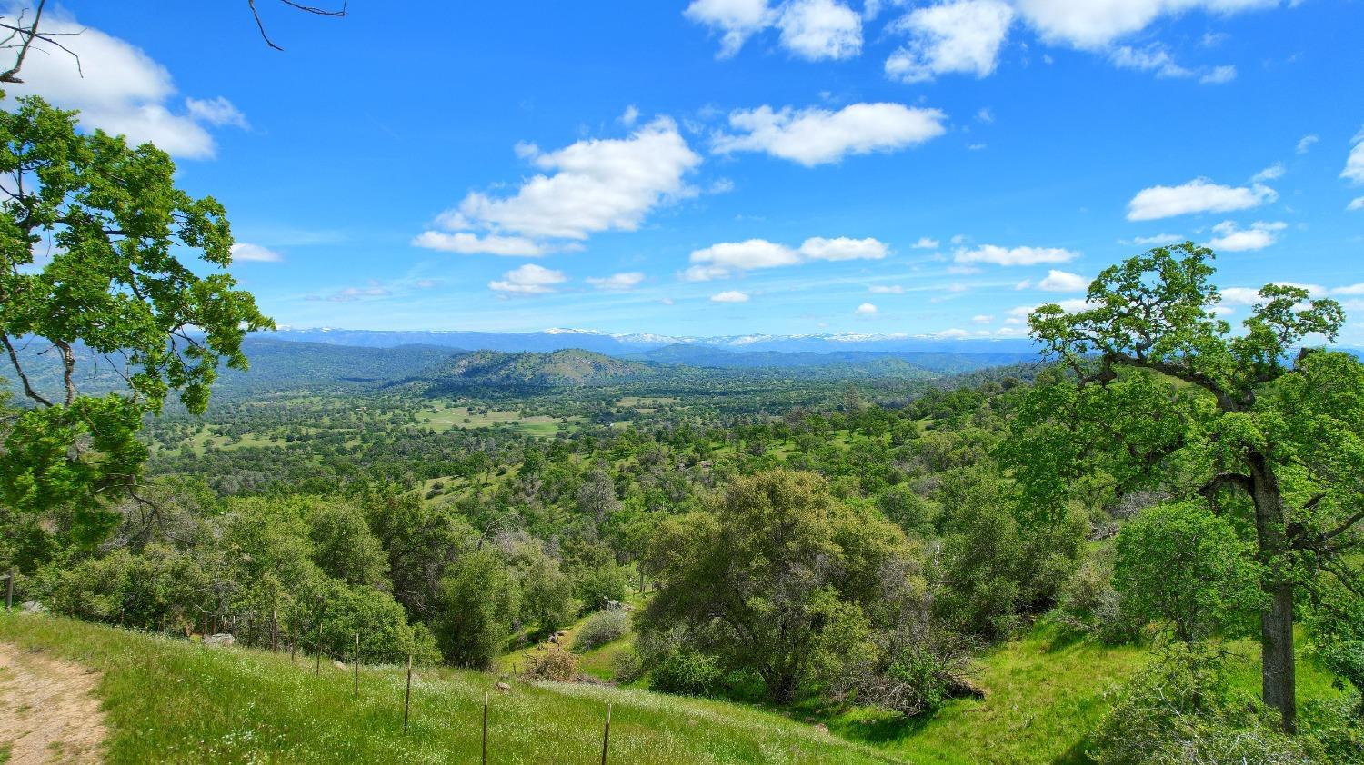 Coarsegold, California, 93614, United States, 3 Bedrooms Bedrooms, ,2 BathroomsBathrooms,Residential,For Sale,2006317