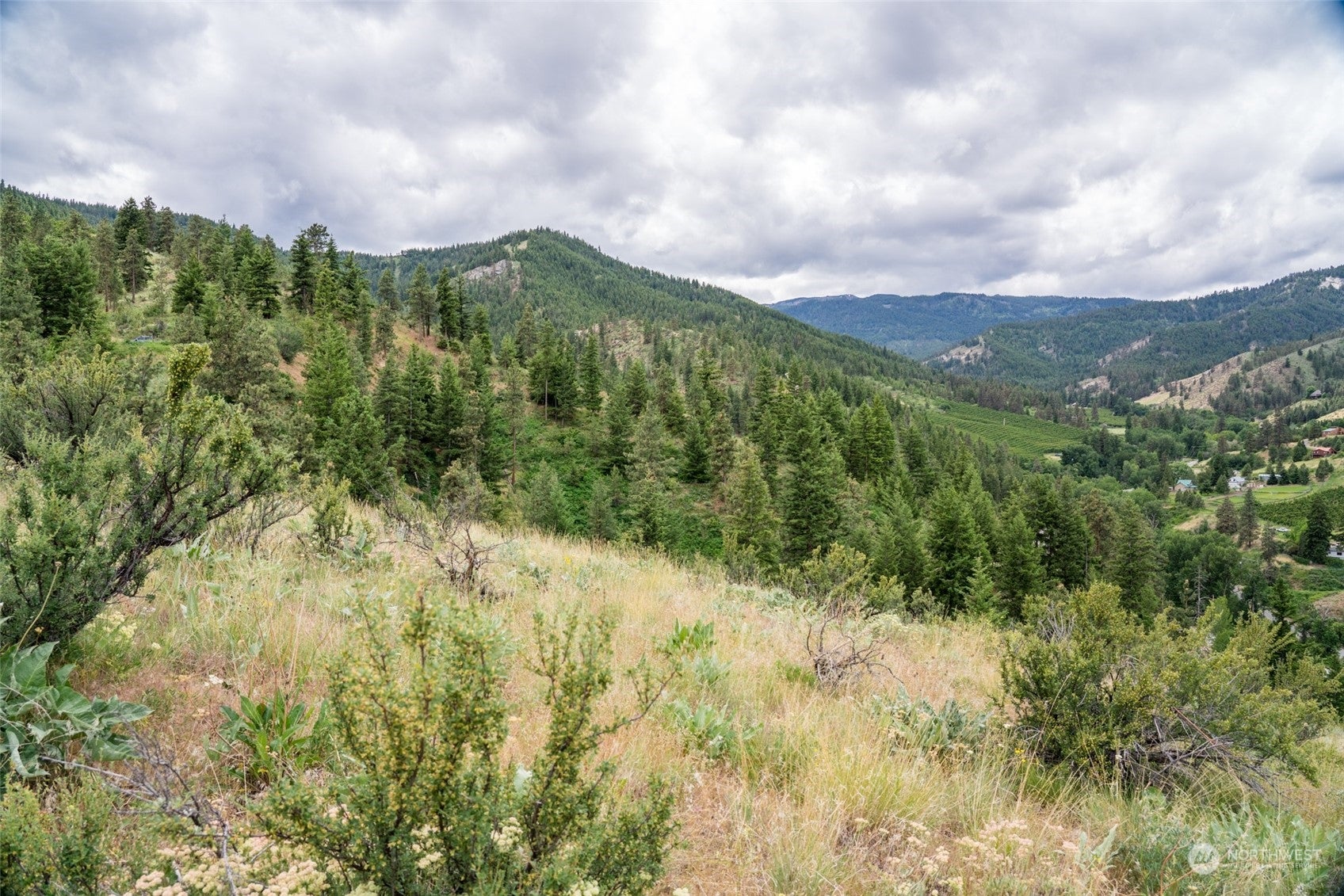 Wenatchee, Washington, 98801, United States, ,Land,For Sale,1690373