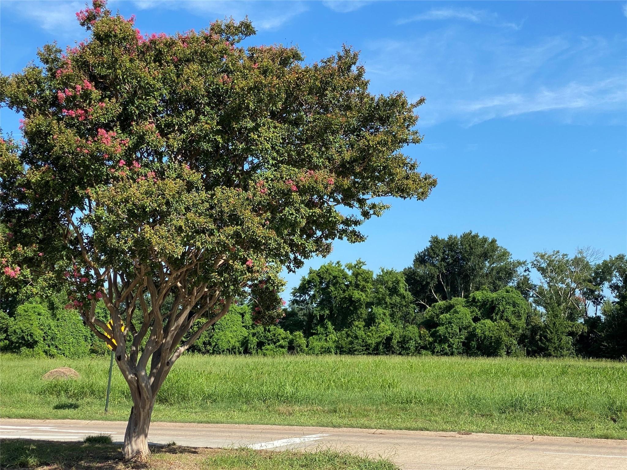 Bossier City, Louisiana, 71112, United States, ,Residential,For Sale,1983716