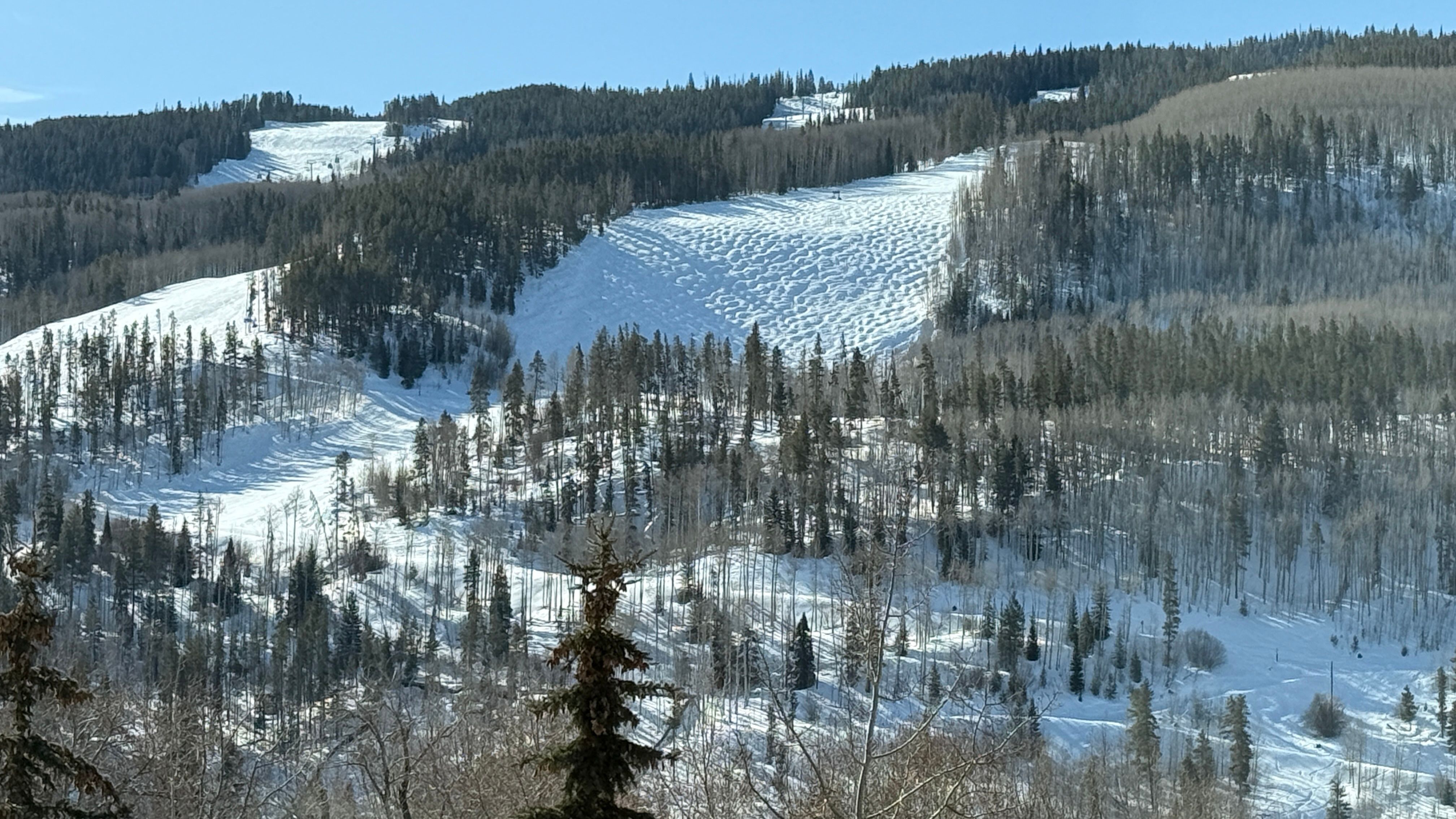  Brooktree Residence #205A - 物件實景