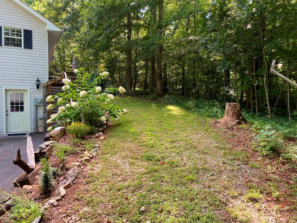 Young Harris, Georgia, 30582, United States, 3 Bedrooms Bedrooms, ,3 BathroomsBathrooms,Residential,For Sale,1847113