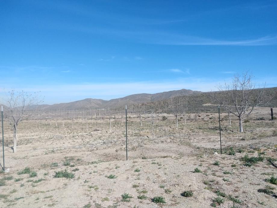 KM 3 CARRETERA PARRAS A GENERAL CEPEDA, Parras, Coahuila de Zaragoza, 27987, Mexico, 1 Bedroom Bedrooms, ,Residential,For Sale,KM 3 CARRETERA PARRAS A GENERAL CEPEDA,1472261