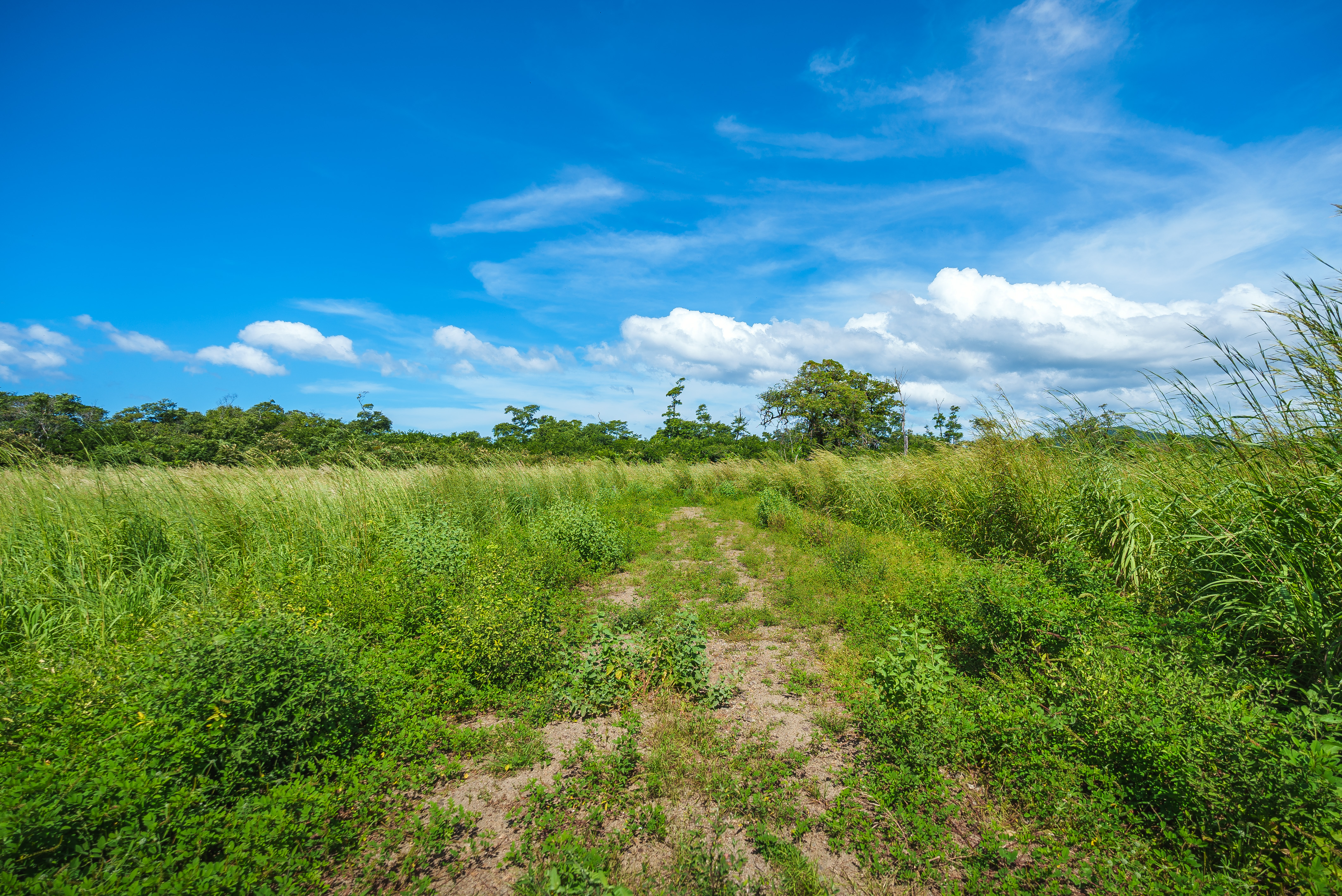 Playa Grande, Guanacaste, Playa Grande, Guanacaste, CR, ,Land,For Sale,Playa Grande, Guanacaste,1615548