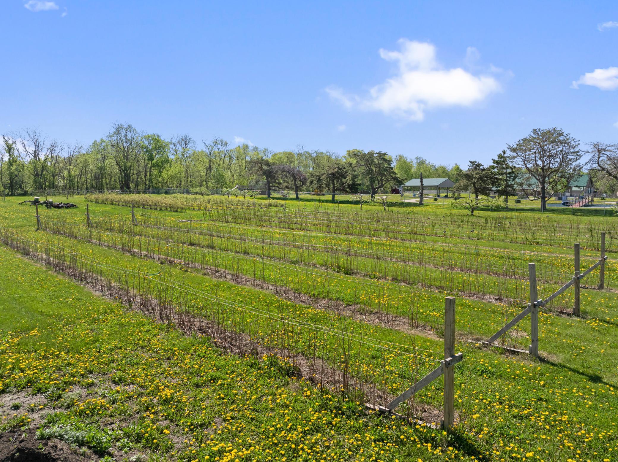 Bridgewater Twp, Minnesota, 55057, United States, ,Residential,For Sale,1851900