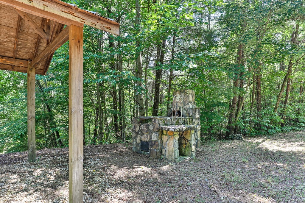 Cherry Log, Georgia, 30522, United States, ,Land,For Sale,1858995
