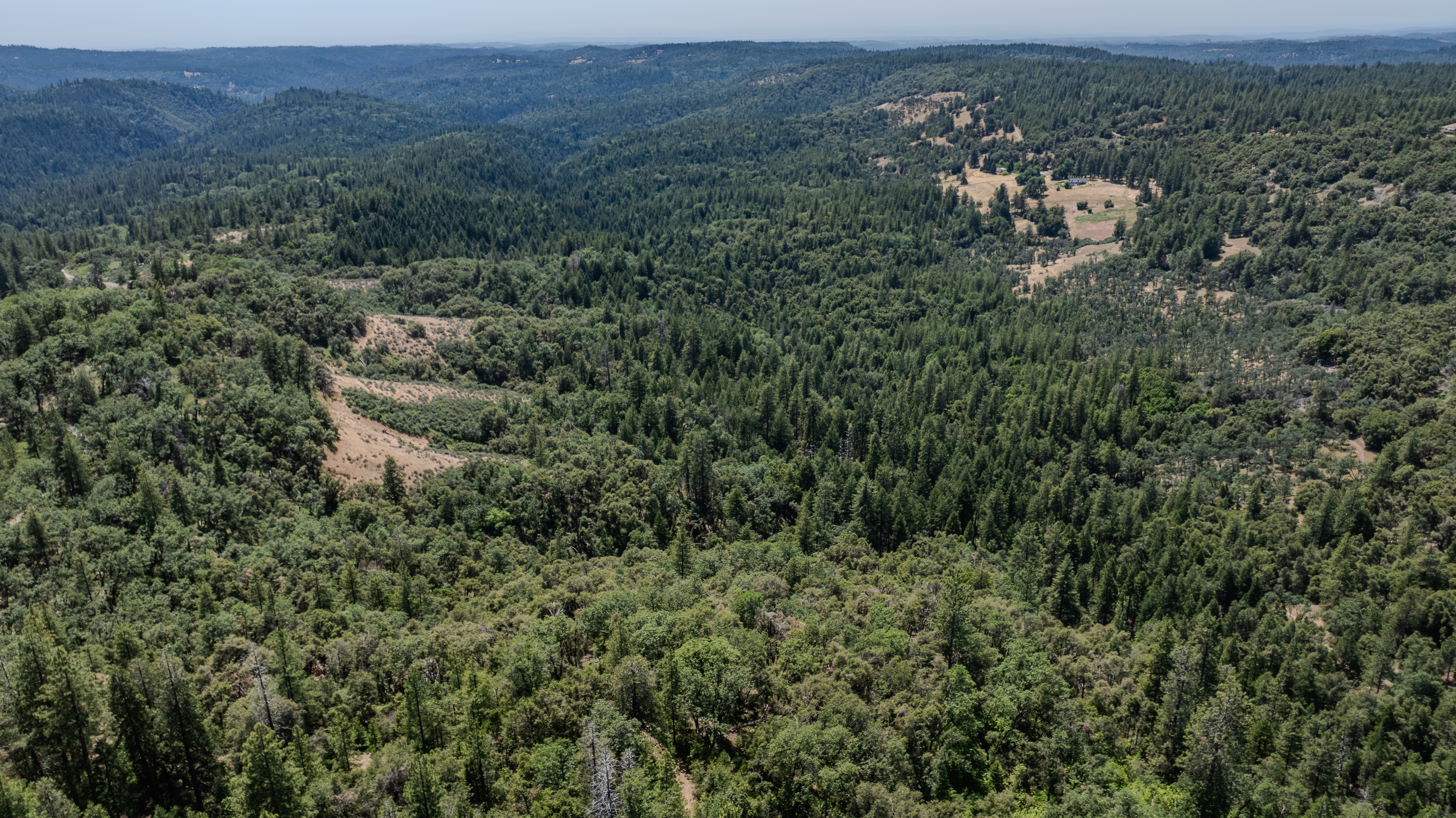  24100 Canterbury Road, Pioneer, CA 95666 - 物件實景