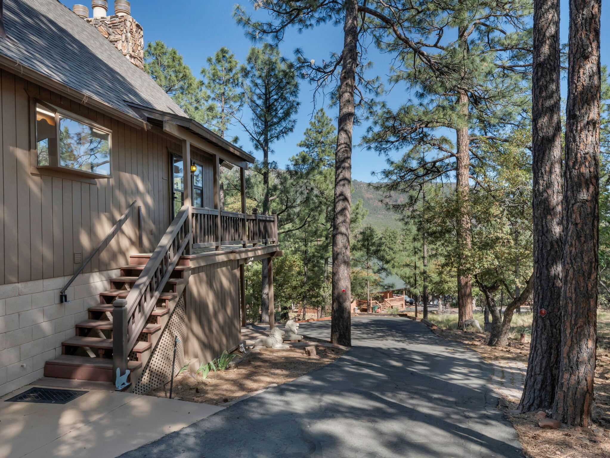 Pine, Arizona, 85544, United States, 3 Bedrooms Bedrooms, ,2 BathroomsBathrooms,Residential,For Sale,1828056