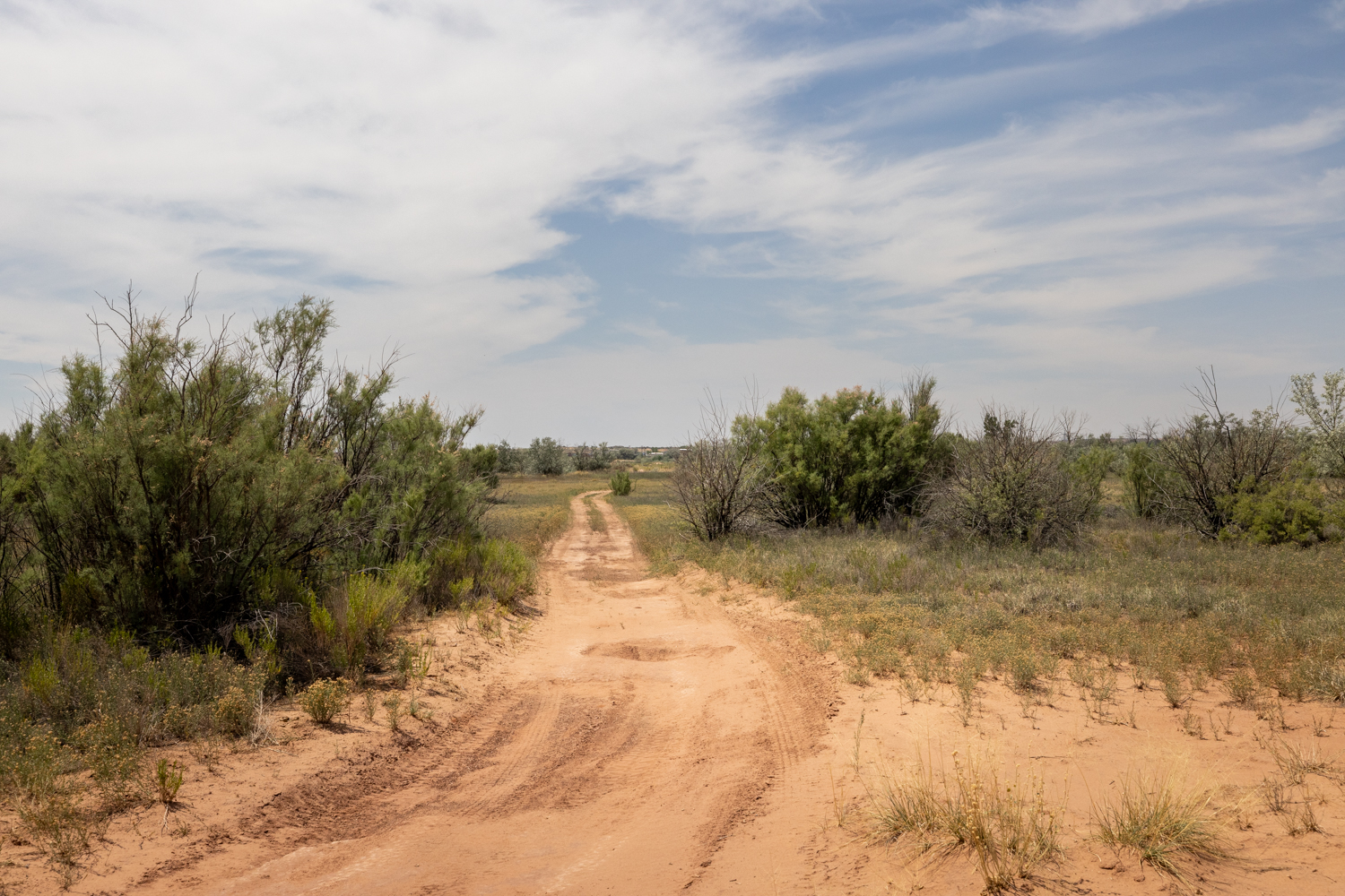 Roosevelt, Utah, 84066, United States, ,Land,For Sale,1903597