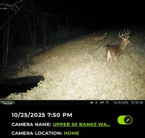 Muscoda, Wisconsin, 53573, United States, 3 Bedrooms Bedrooms, ,3 BathroomsBathrooms,Residential,For Sale,1990387