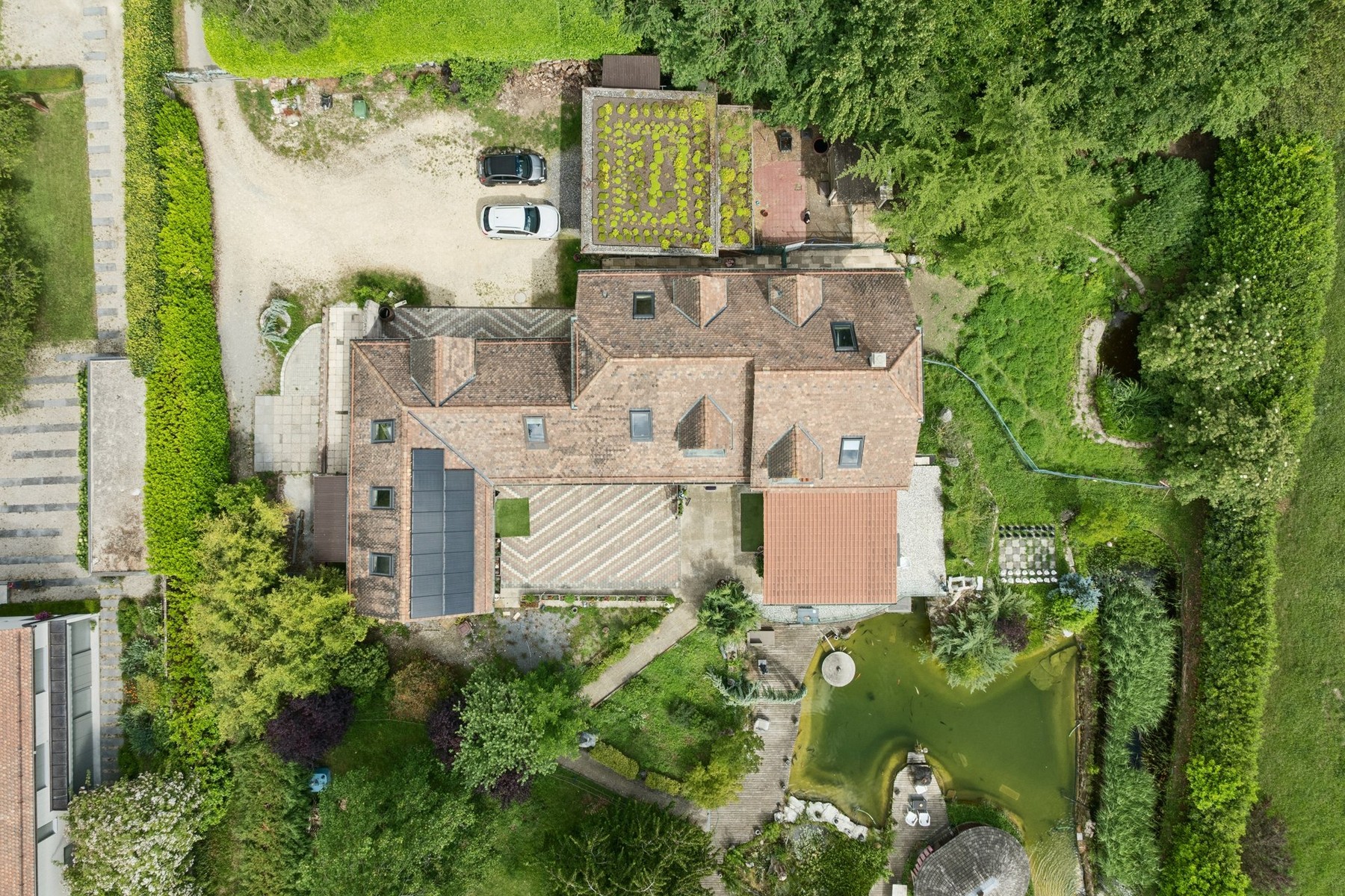  A beautiful estate with two homes nestled in the heart of nature - 物件實景