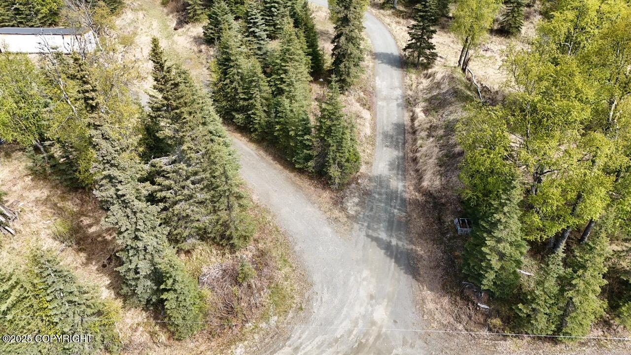 Clam Gulch, Alaska, 99568, United States, 6 Bedrooms Bedrooms, ,4 BathroomsBathrooms,Residential,For Sale,1944554