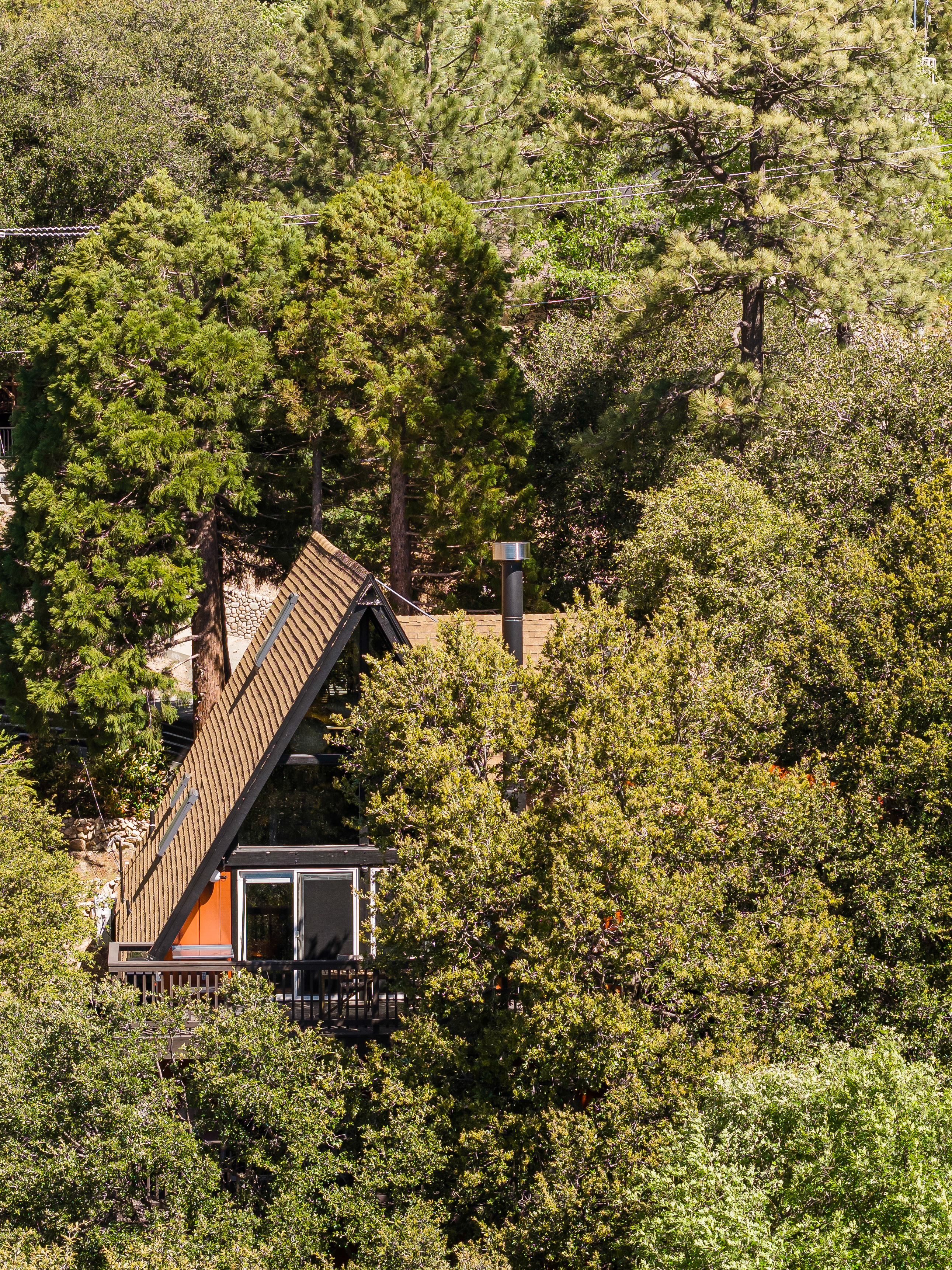  26569 Amador Lane, Lake Arrowhead, CA 92352 - 物件實景