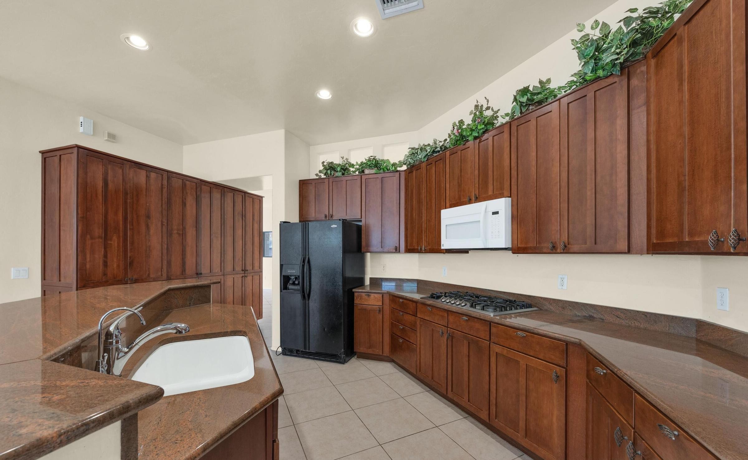  1230 N Golden Palomino Place, Tucson, AZ 85715 - 物件實景